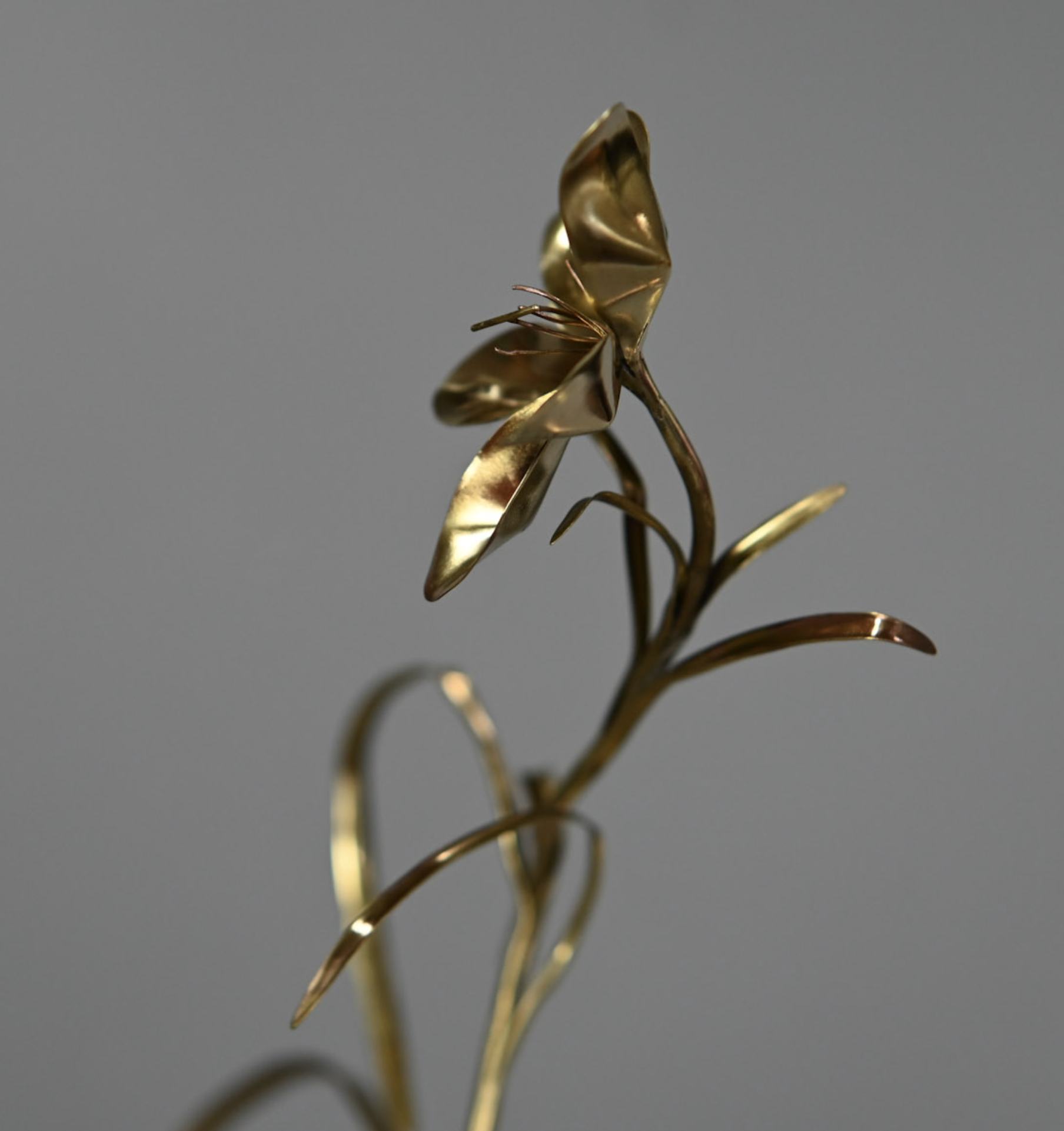 Screenshot 2025-12-16 at 10.13.17 AM.png