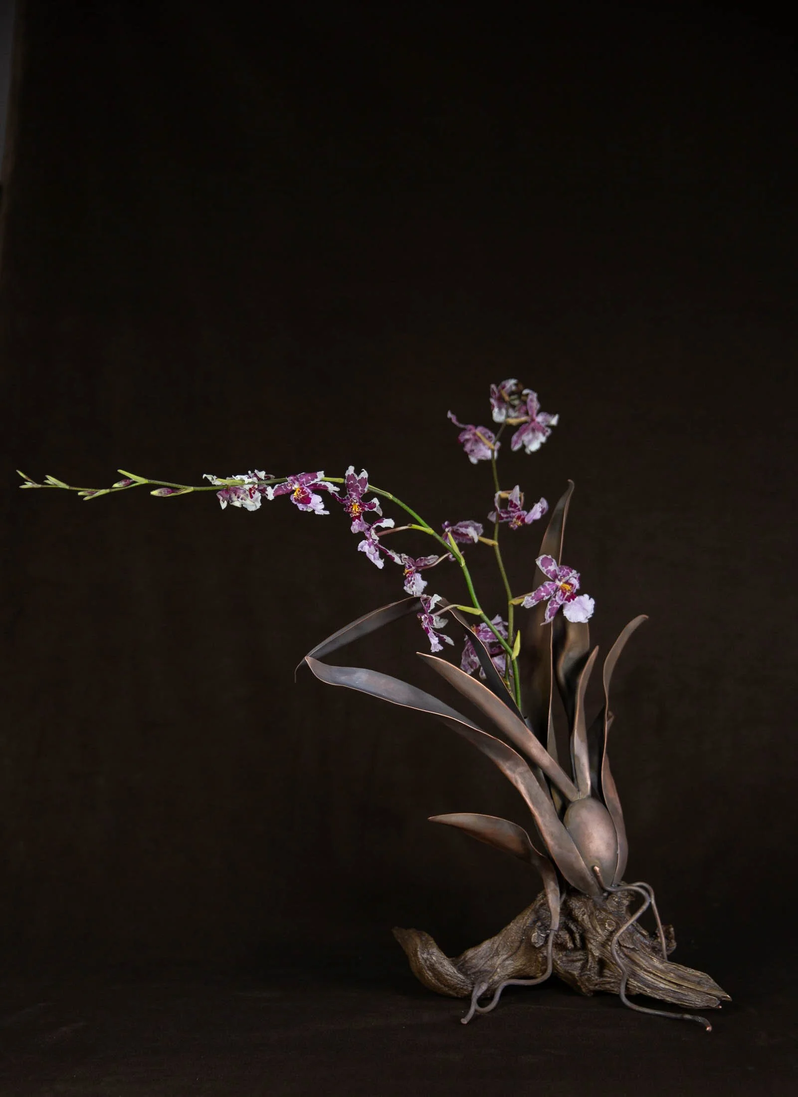 Orchid Vases