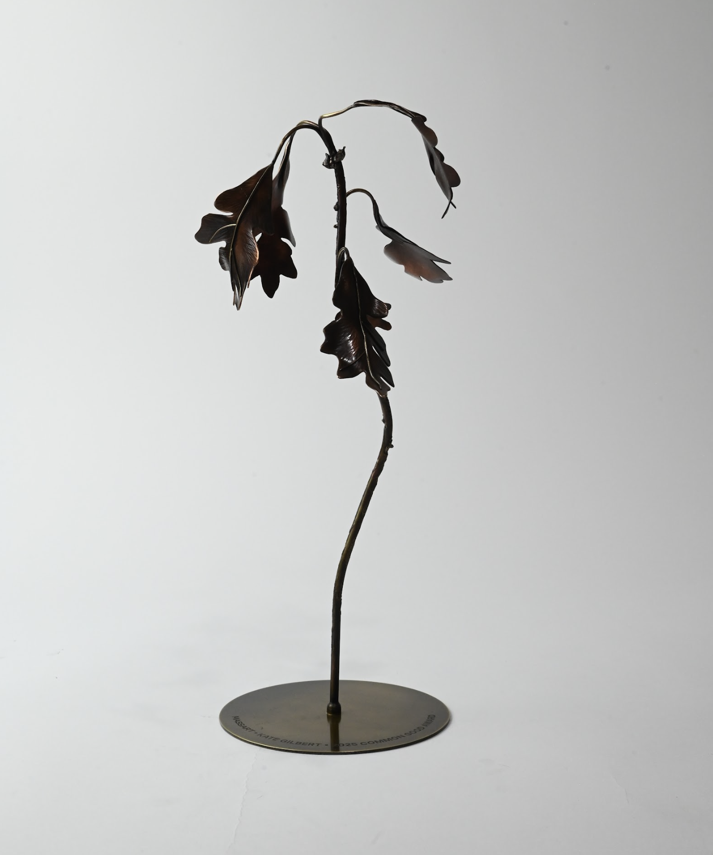 Screenshot 2026-01-31 at 1.04.36 PM.png