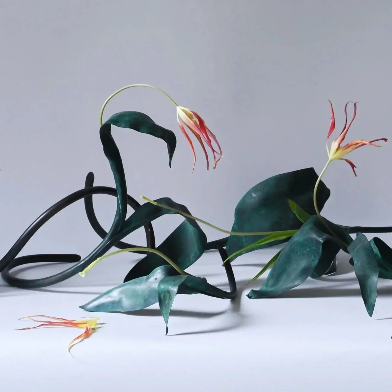 Tulipa Vase