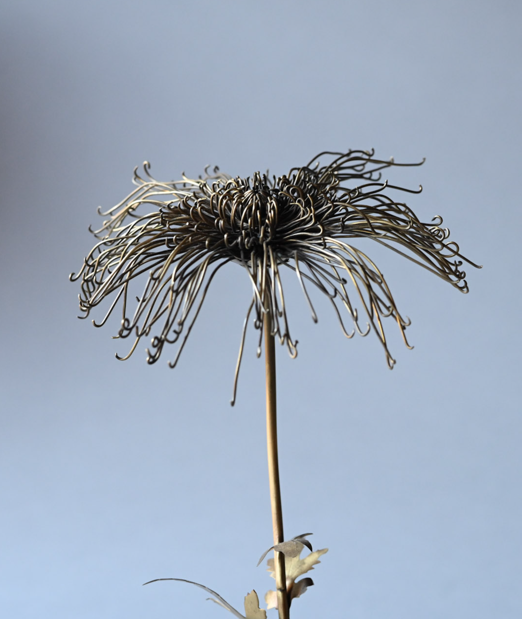 Screenshot 2025-12-16 at 9.43.37 AM.png