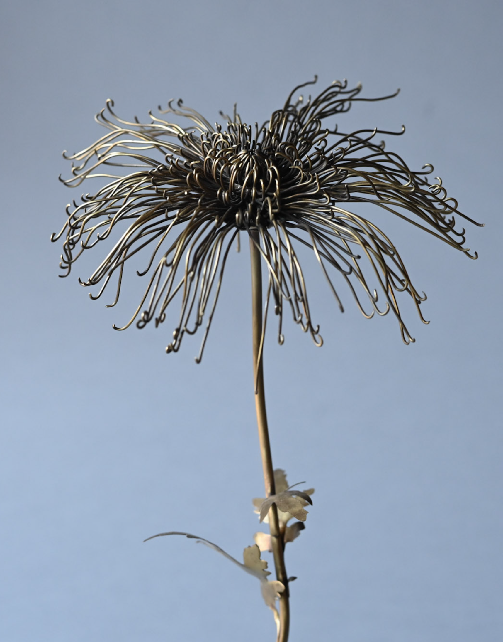 Screenshot 2025-12-16 at 9.43.44 AM.png