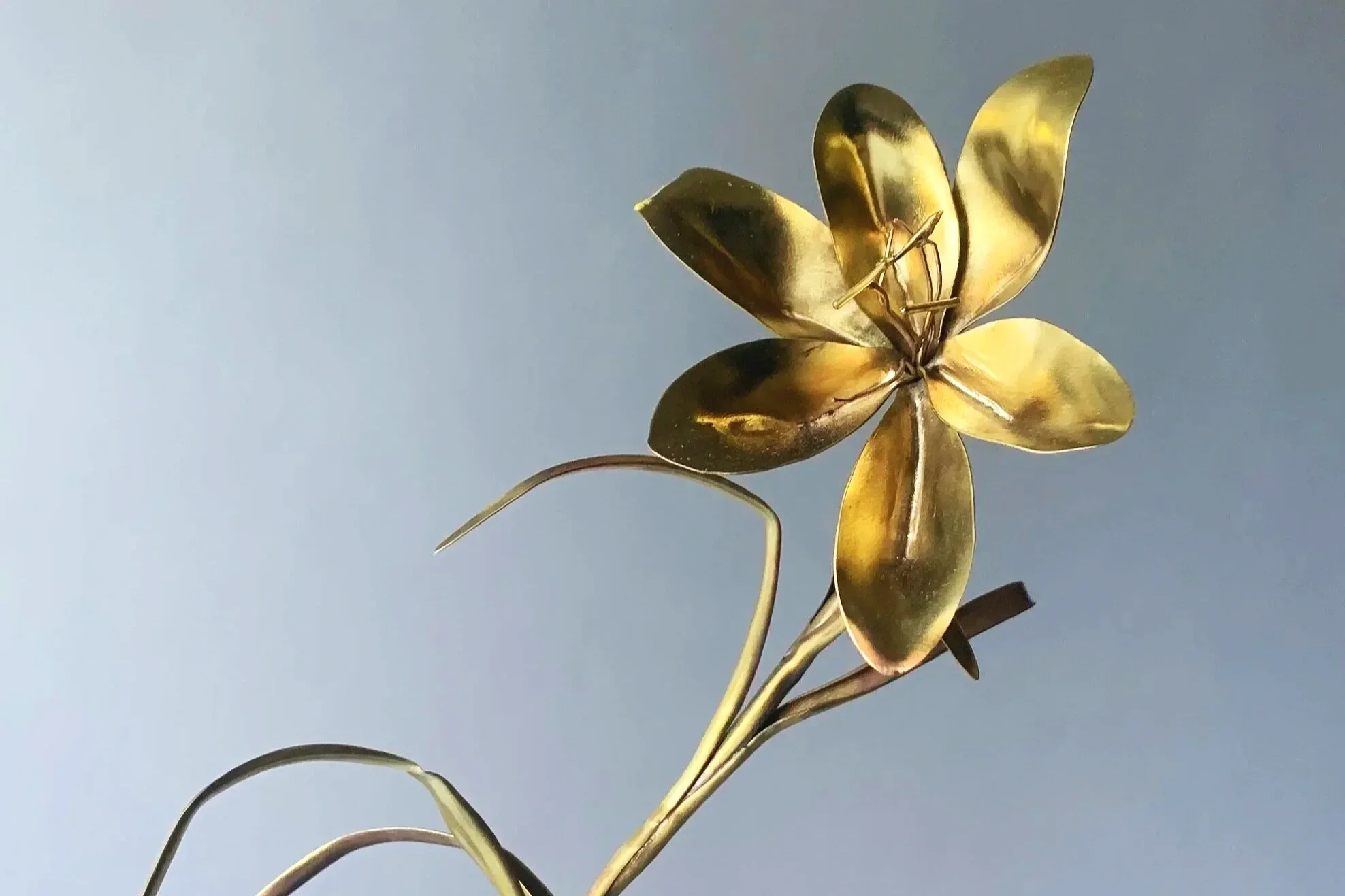 Fritillaria 'meleagris'