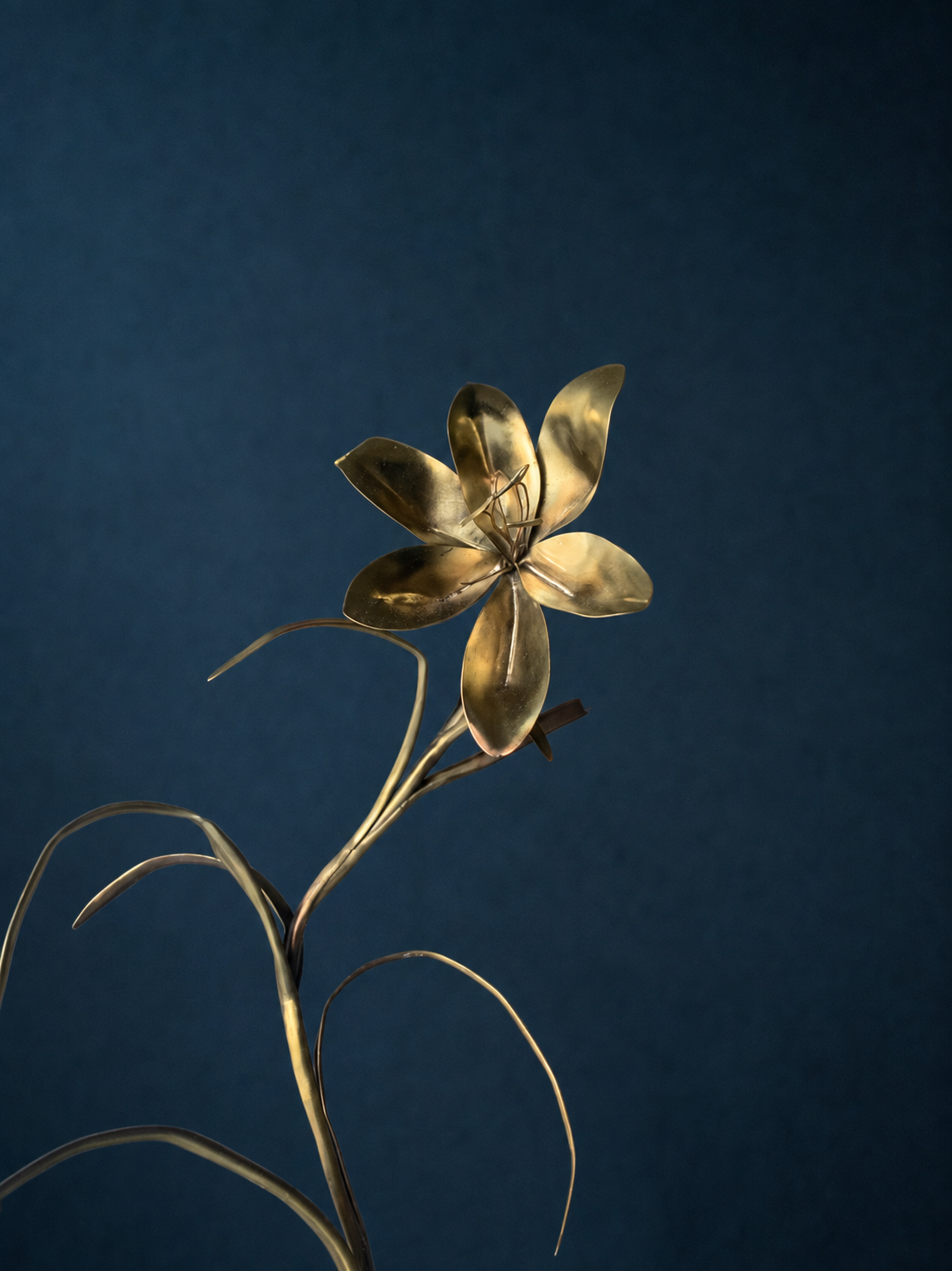 f8a00241-f20c-4b05-bb0d-f43f128c2475.png