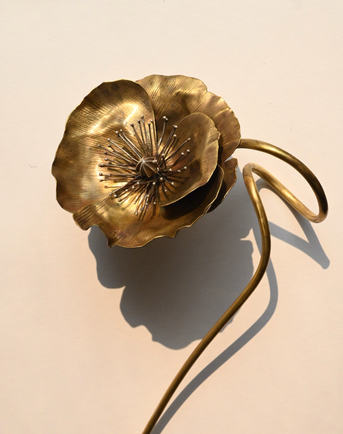Poppy