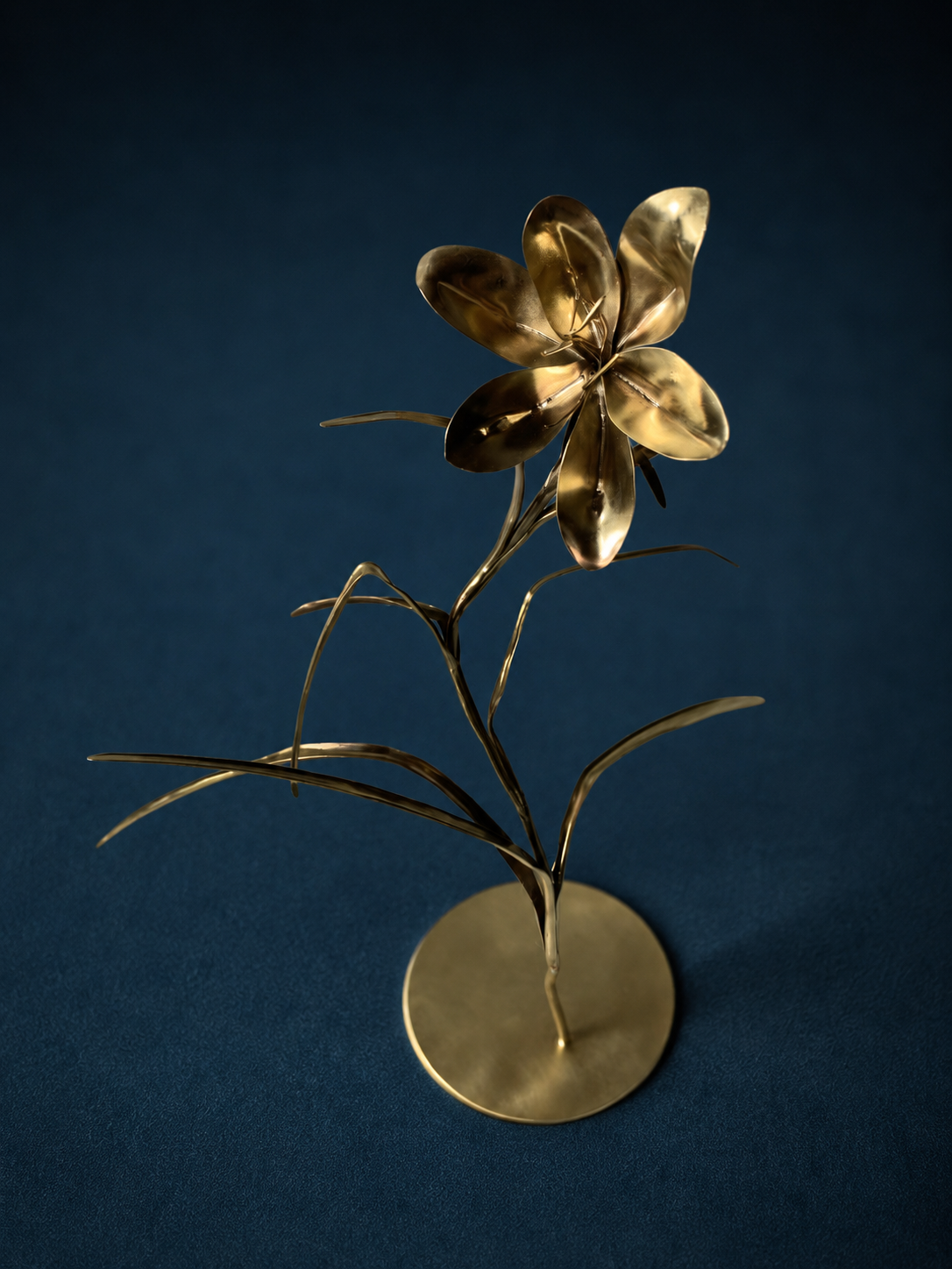 0889b61f-edf1-40fb-904a-c8ca8eb95a7b.png