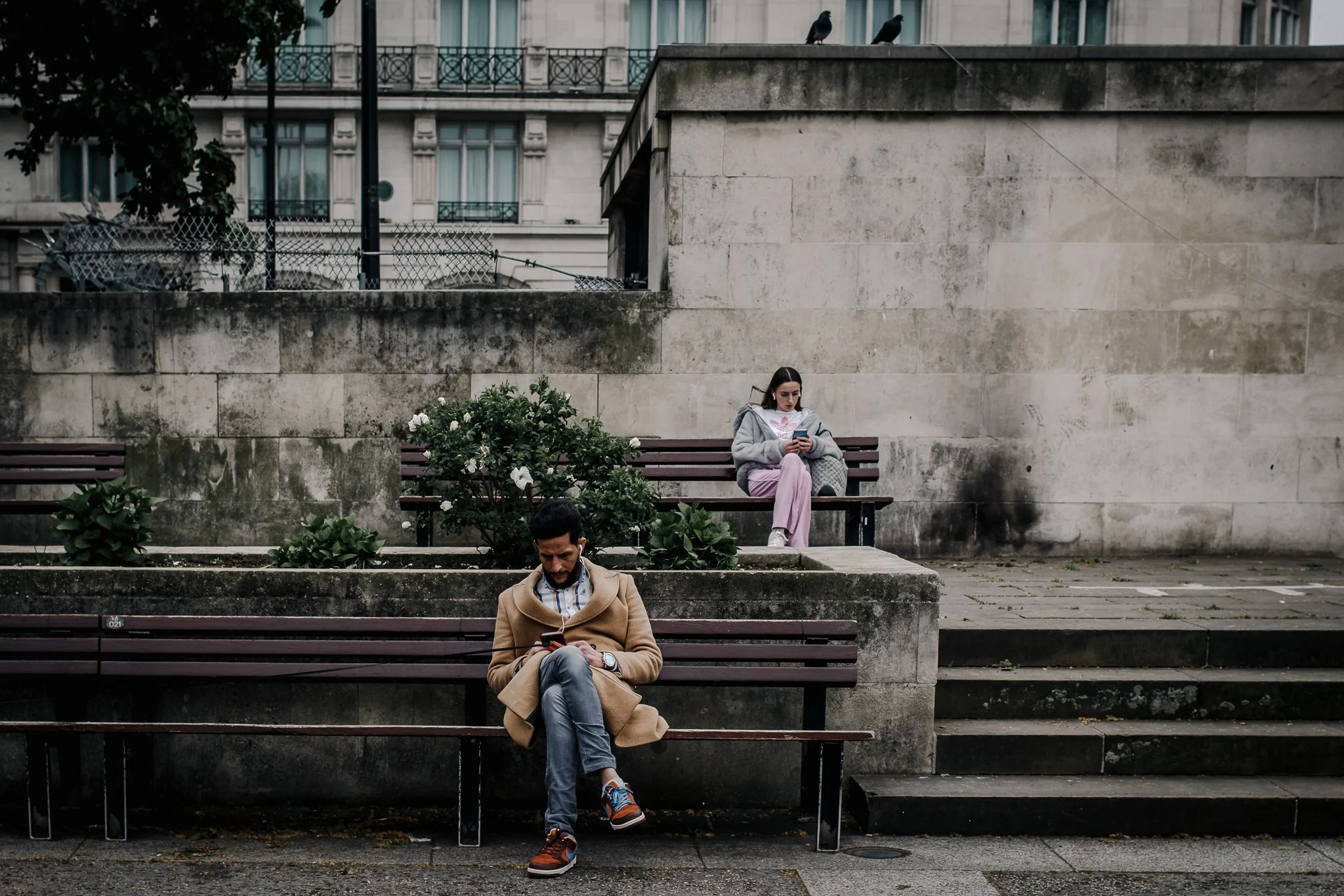 A man and a woman sitting separately on benches outdoors, both looking at their smartphones. The man is in the foreground, wearing a tan coat and jeans. The woman is in the background, wearing a gray hoodie and pink pants. There is a wall behind them with some greenery and flowers, and a building with windows and balconies in the background. Two birds are perched on the wall above.