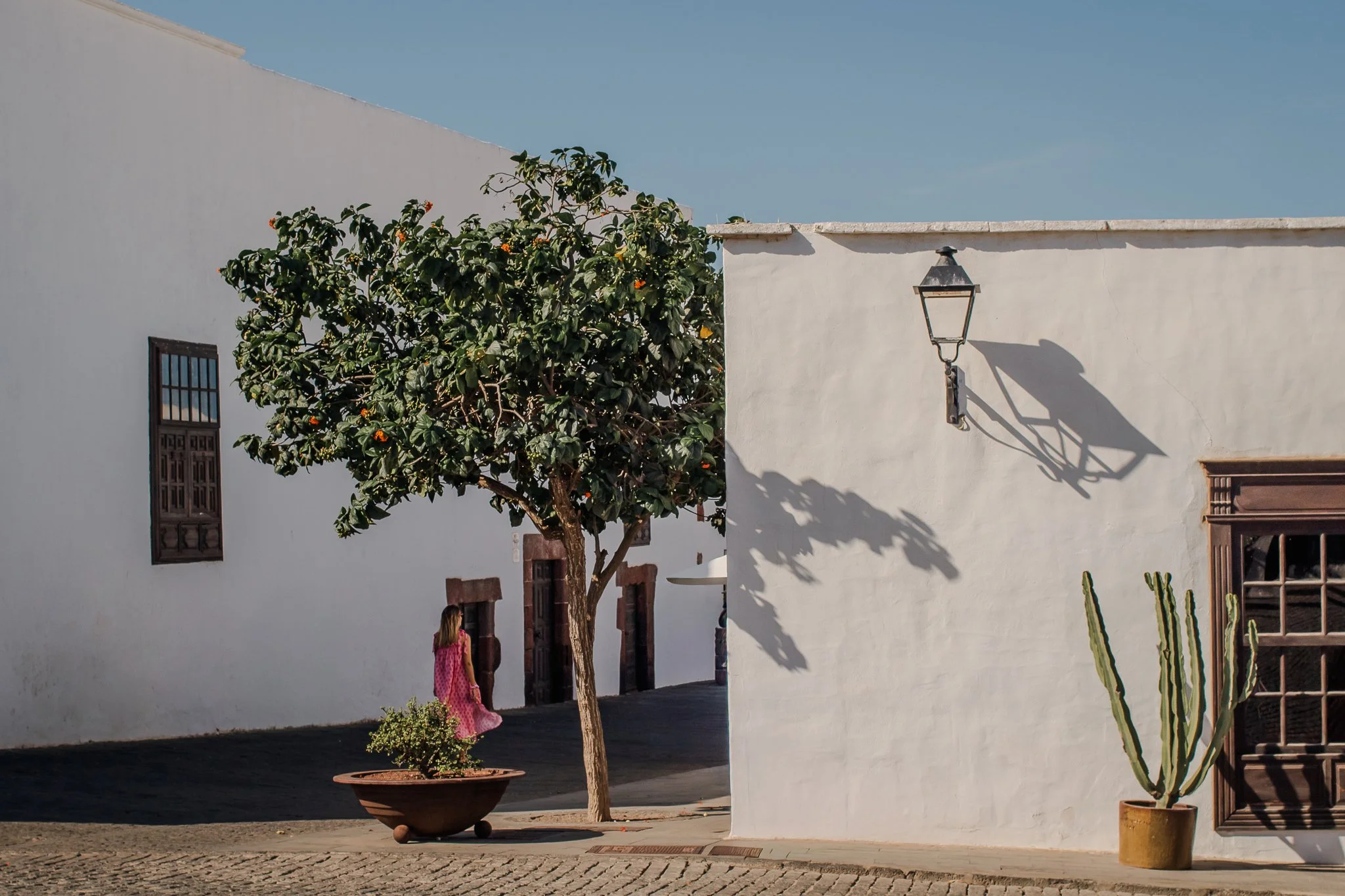 A white building with a vintage street lamp casting a shadow on the wall, a potted cactus, a large flowering tree with orange blooms, and a woman in a pink dress walking past.