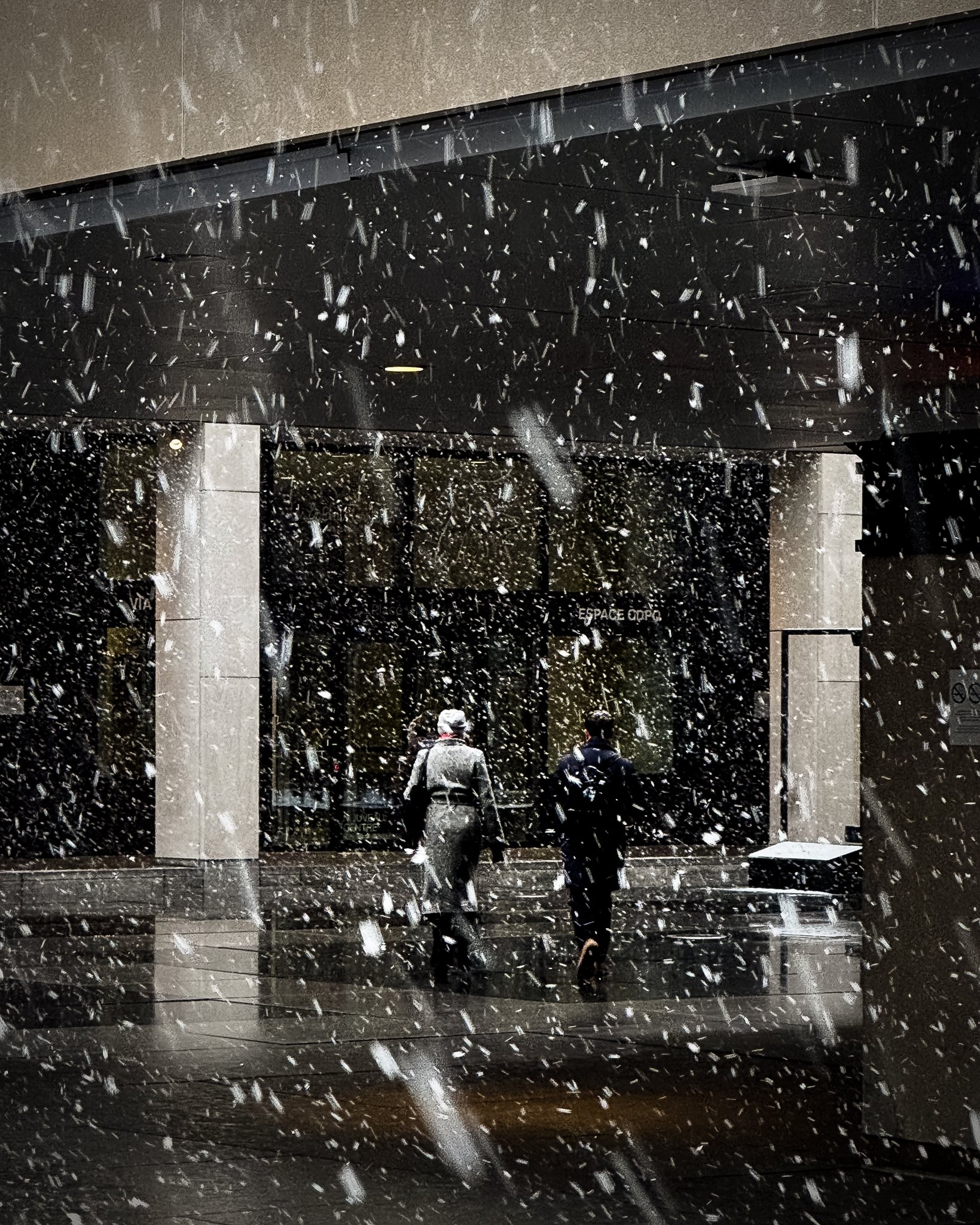 Two people walking through a snowy city street in front of a modern building with large windows.