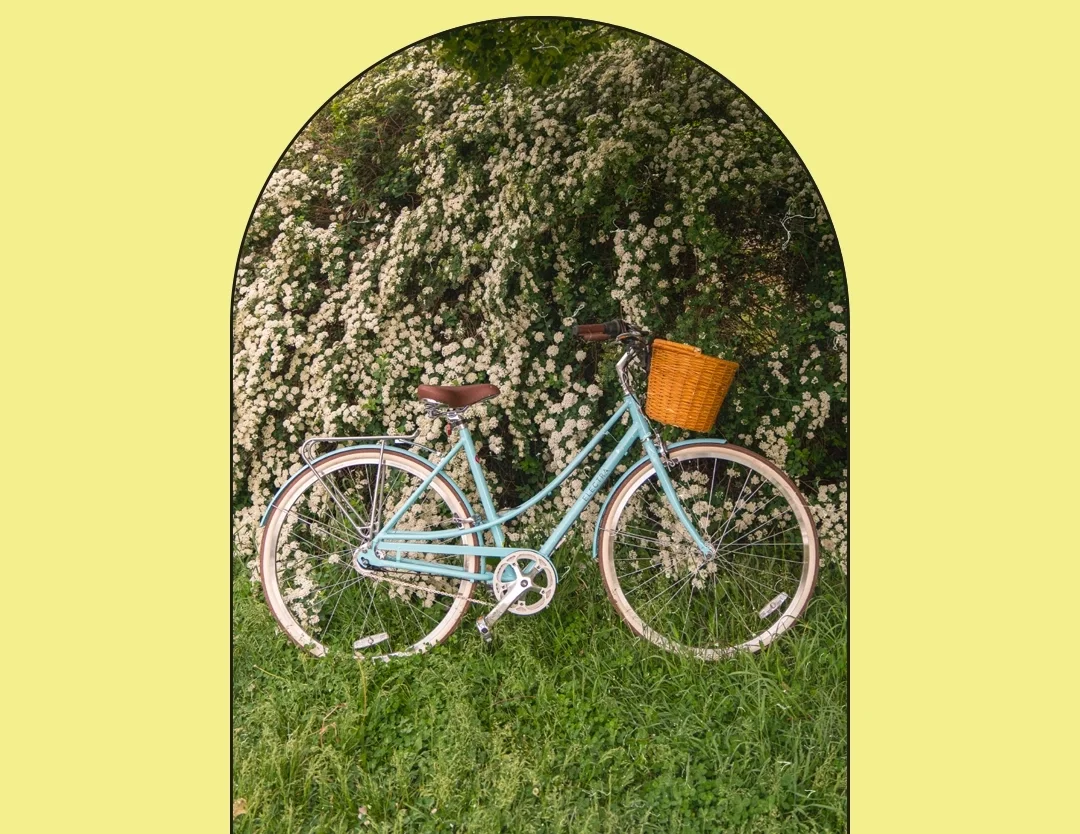A light blue vintage bicycle with a brown seat and a front wicker basket, parked in front of white flowering bushes on green grass.