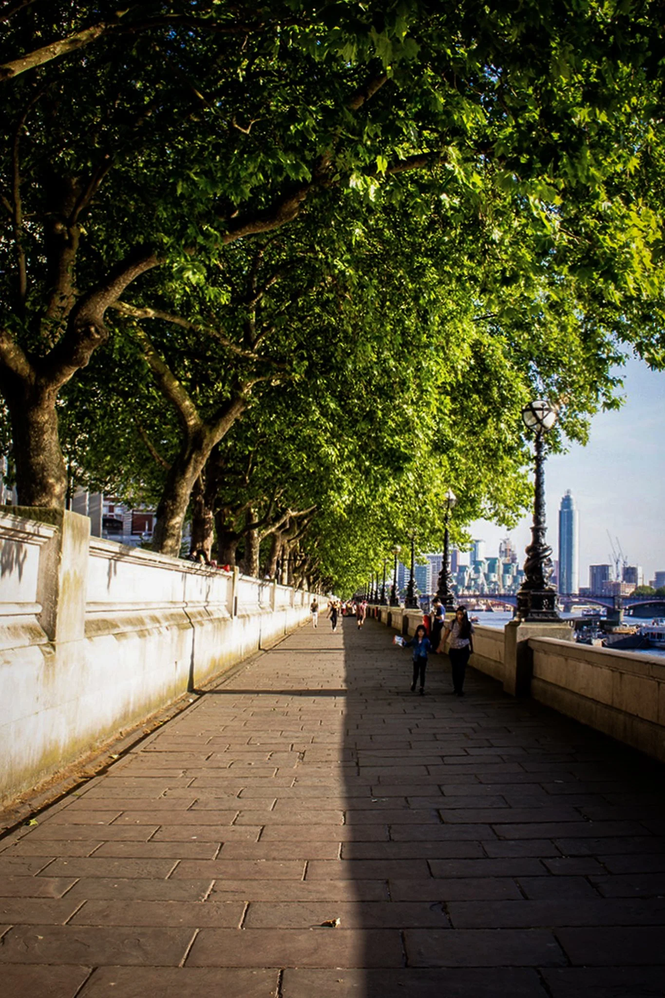 A walkway along a river with large green trees on the left and a city skyline with tall buildings in the background on the right.