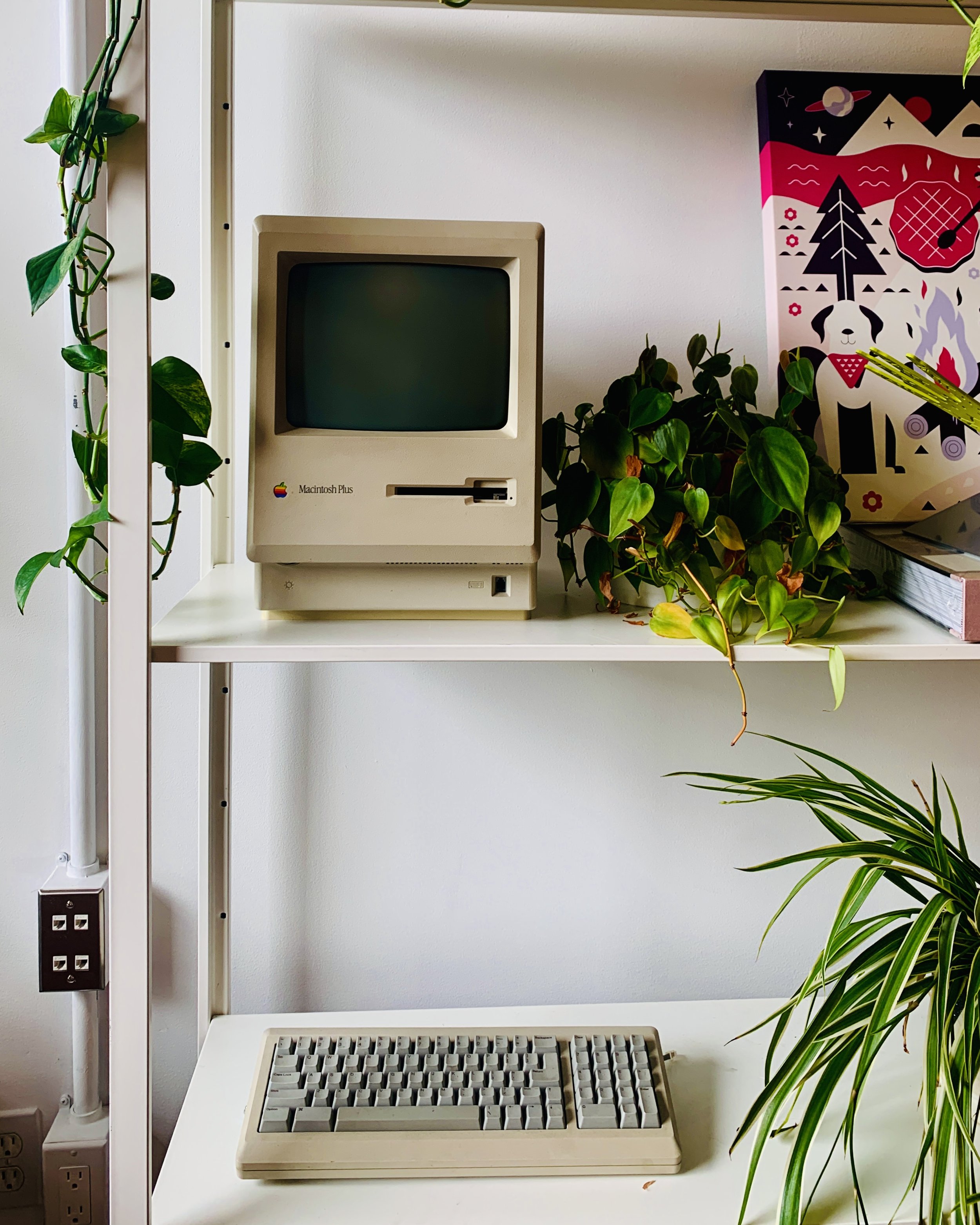 A vintage Apple Macintosh Plus computer on a white shelf, with a black and white keyboard below and green plants around it, next to a colourful poster on a white wall.