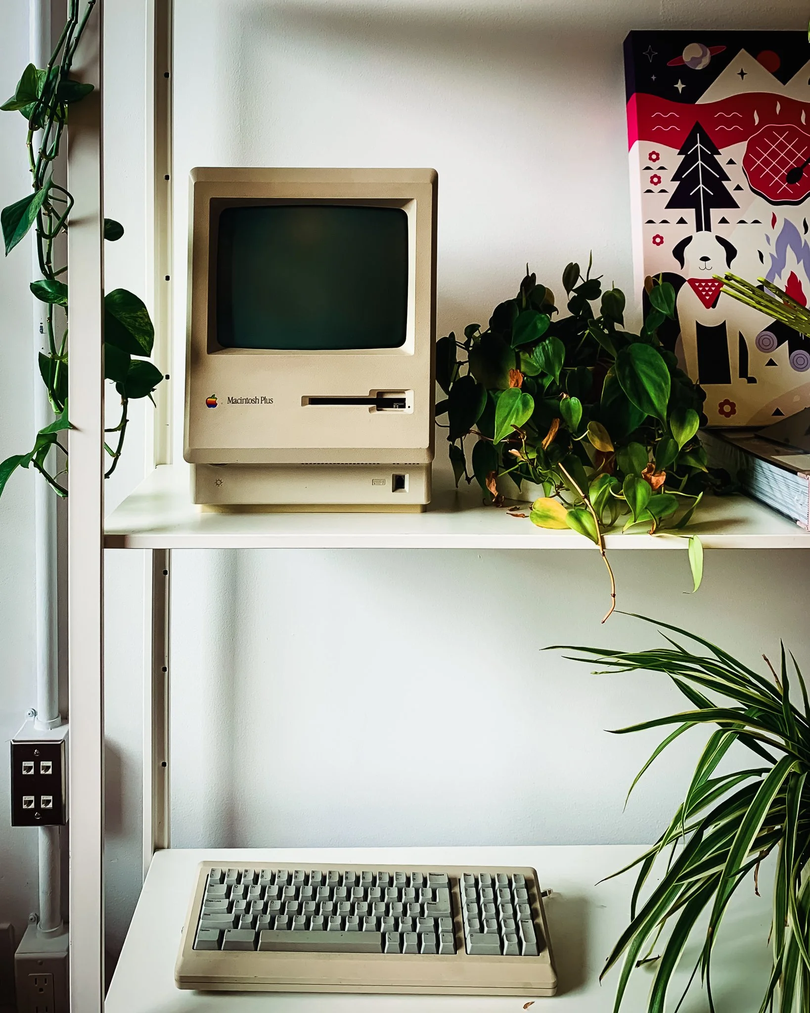 A vintage Macintosh Plus computer setup on a white desk with a keyboard, surrounded by green plants and colorful artwork on the wall.