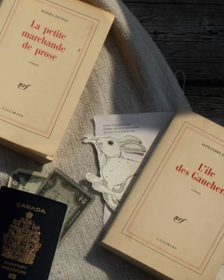 Books, a Canadian passport, dollar bills, and a rabbit illustration on a piece of paper on a textured surface.