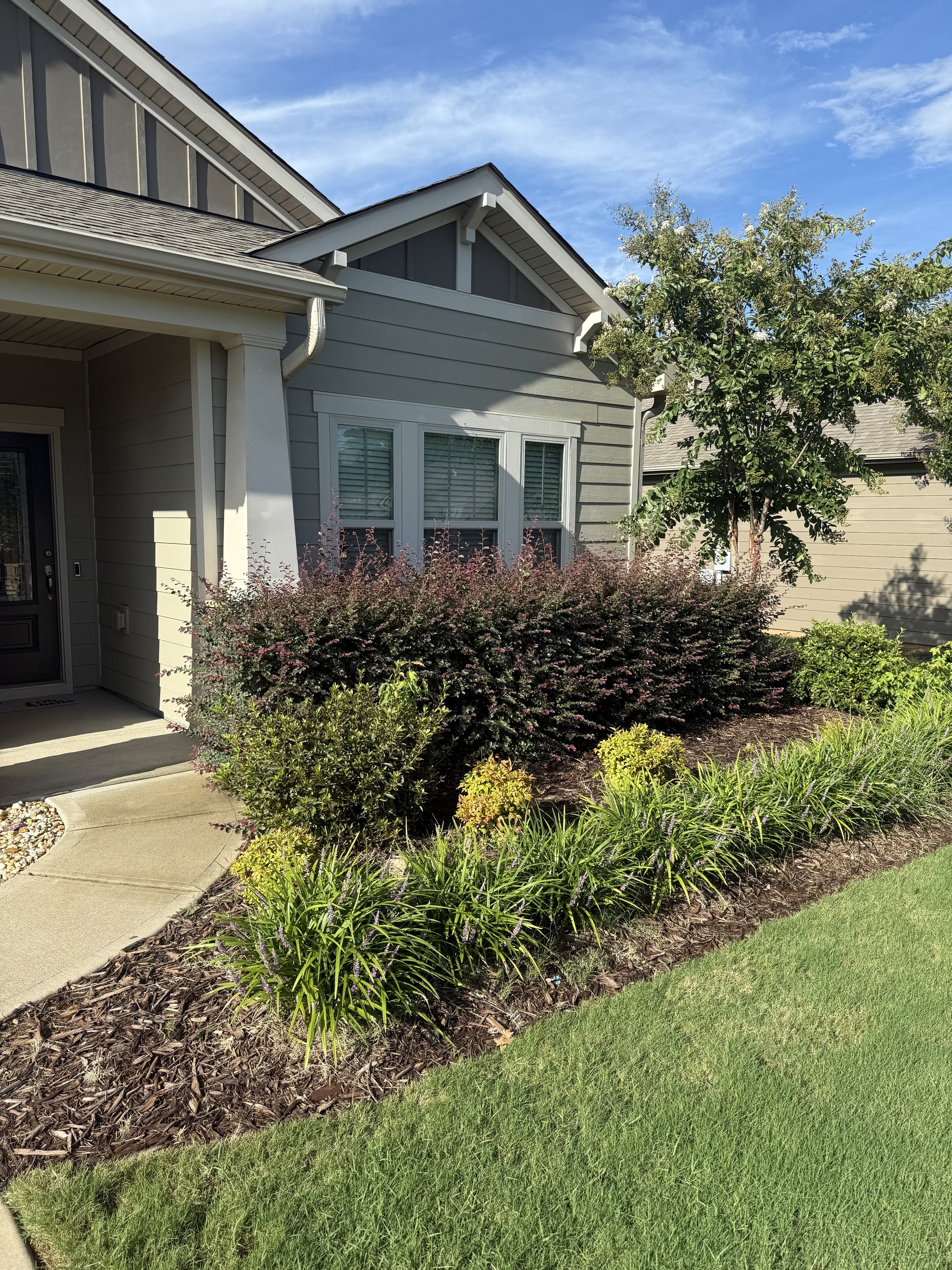 photo_2025-08-14 17.44.58.jpeg