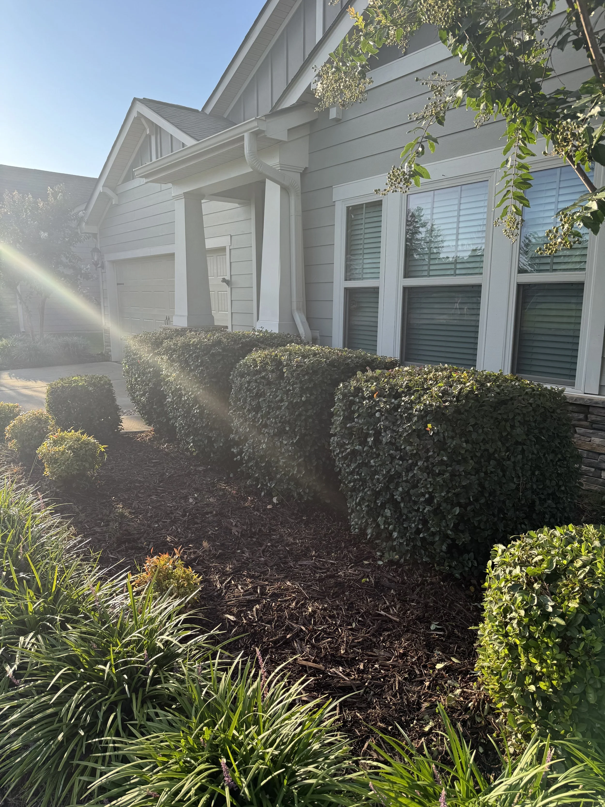 photo_2025-08-14 19.12.38.jpeg