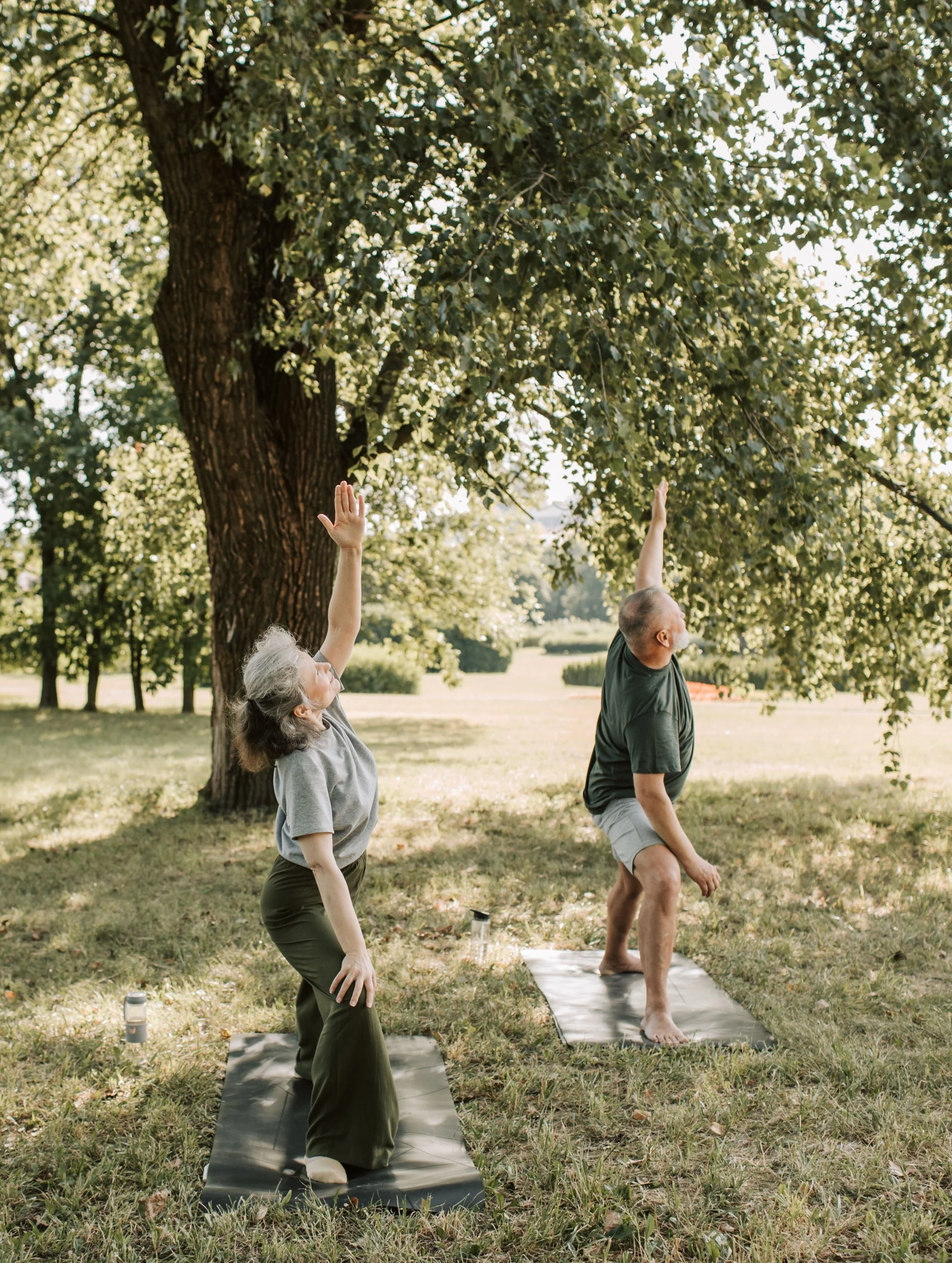 Una parella d'edat avançada practica ioga sobre estoretes en un parc, sota un gran arbre, realitzant la postura del guerrer amb un braç alçat cap a la capçada verda il·luminada pel sol.