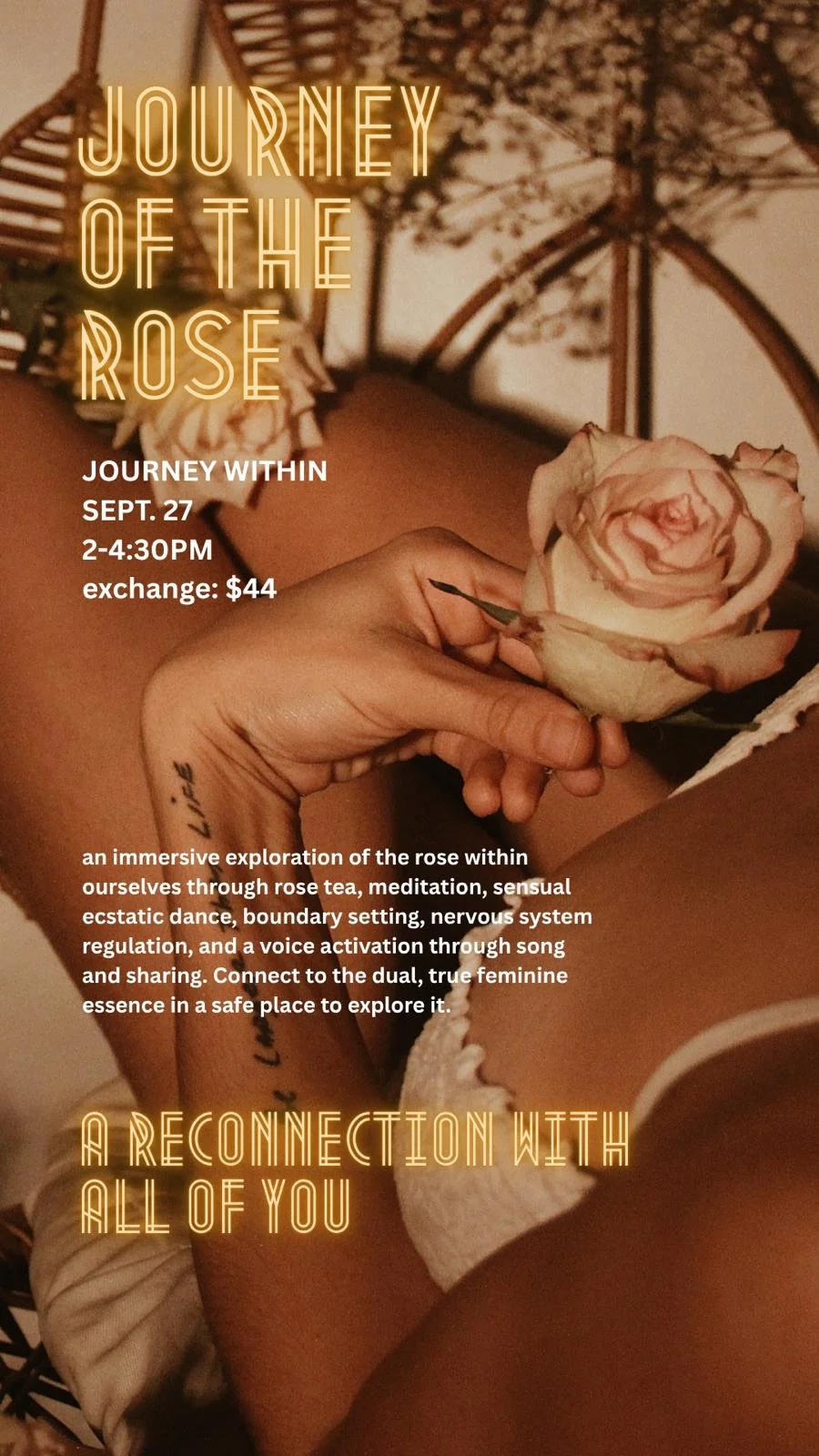 Journey Of The Rose 🌹
