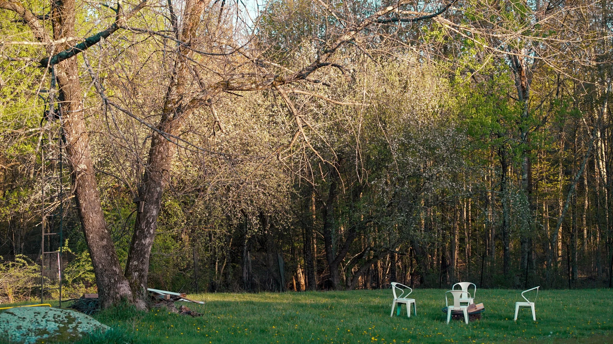 Outdoor fire pit on dog-friendly Catskills property.