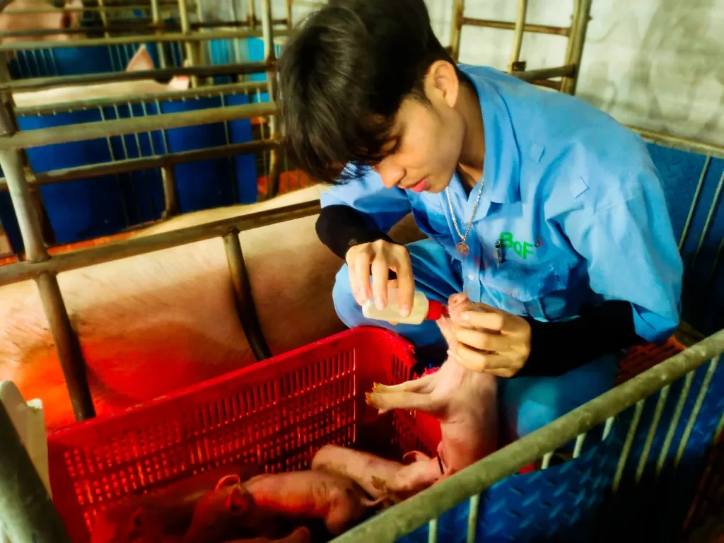 The Journey of Zo Ram Buoi: From Farm to University