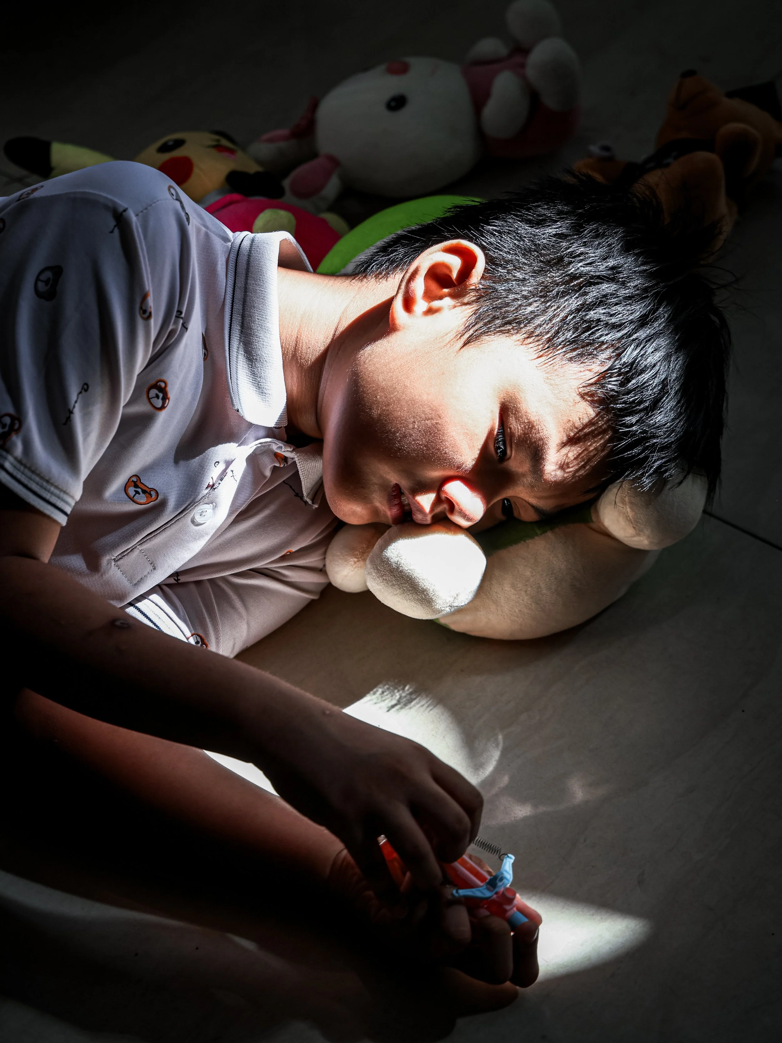 A young boy is lying down, sleeping on a pillow with stuffed animals in the background. Sunlight partially illuminates his face.