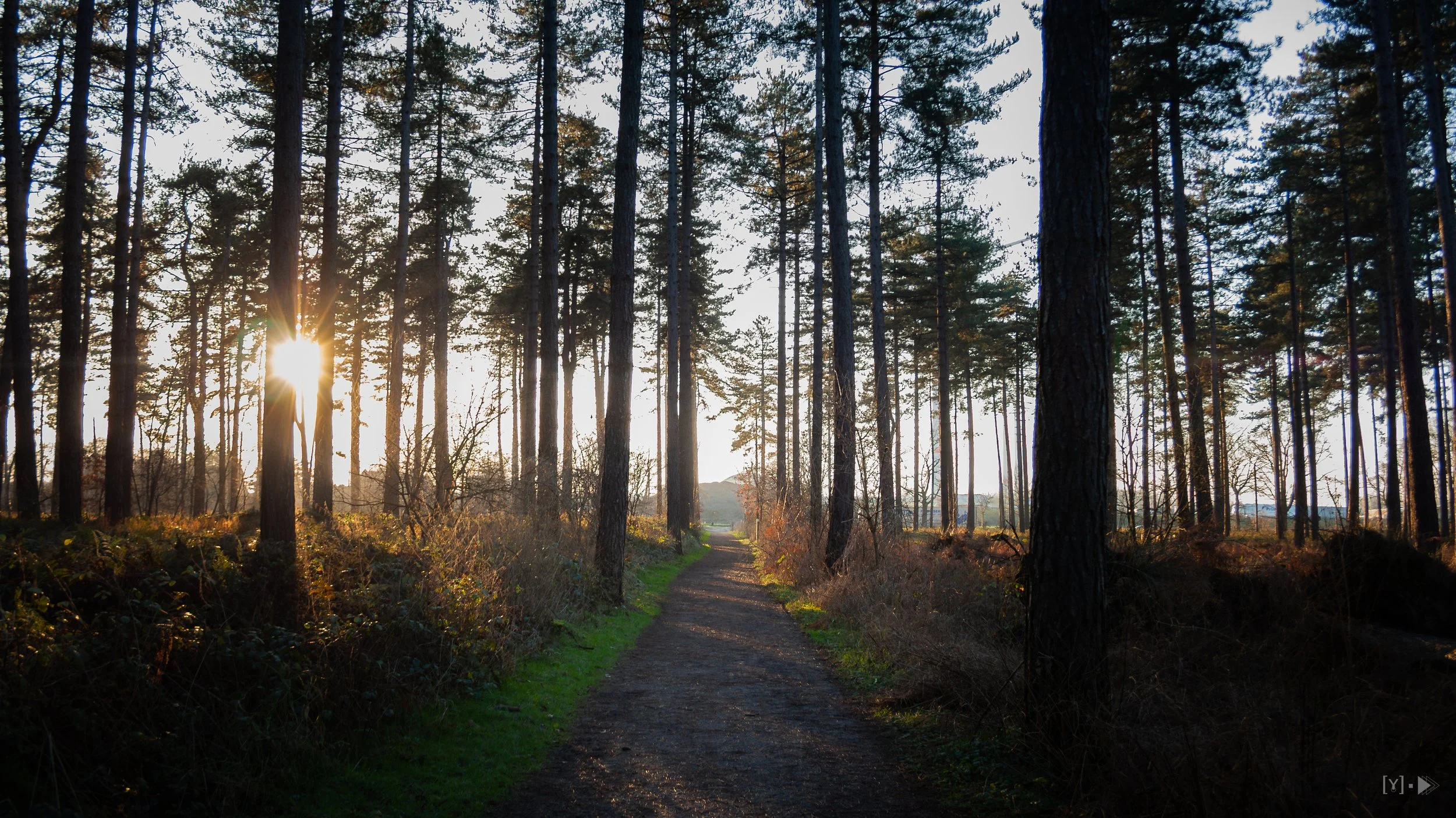 Kloosterbos - Zelzate