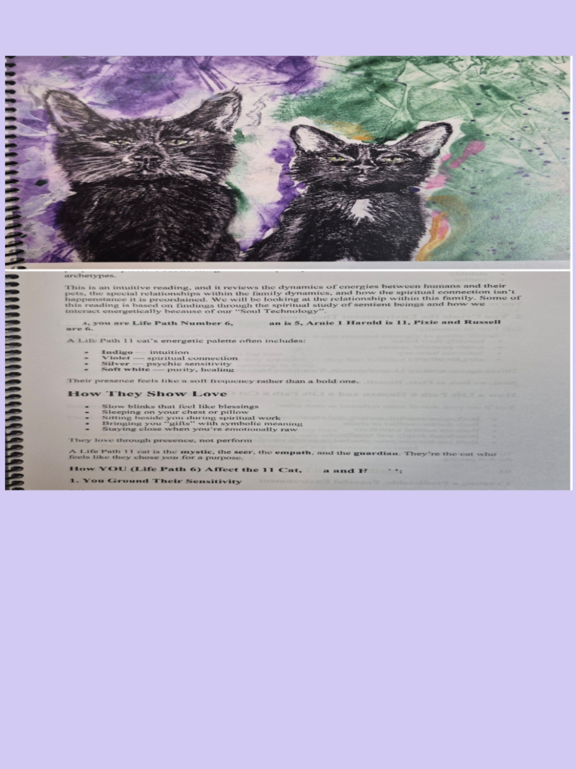 Untitled%2Bdesign%2B10.png