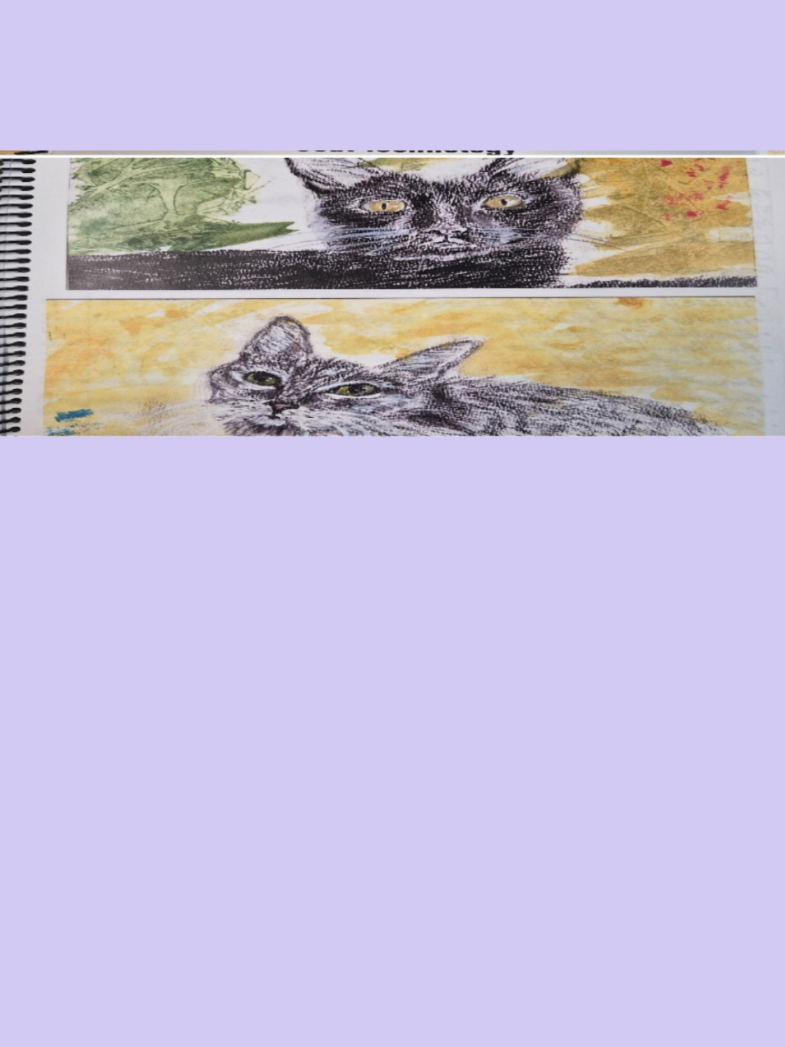 Untitled+design+9.png