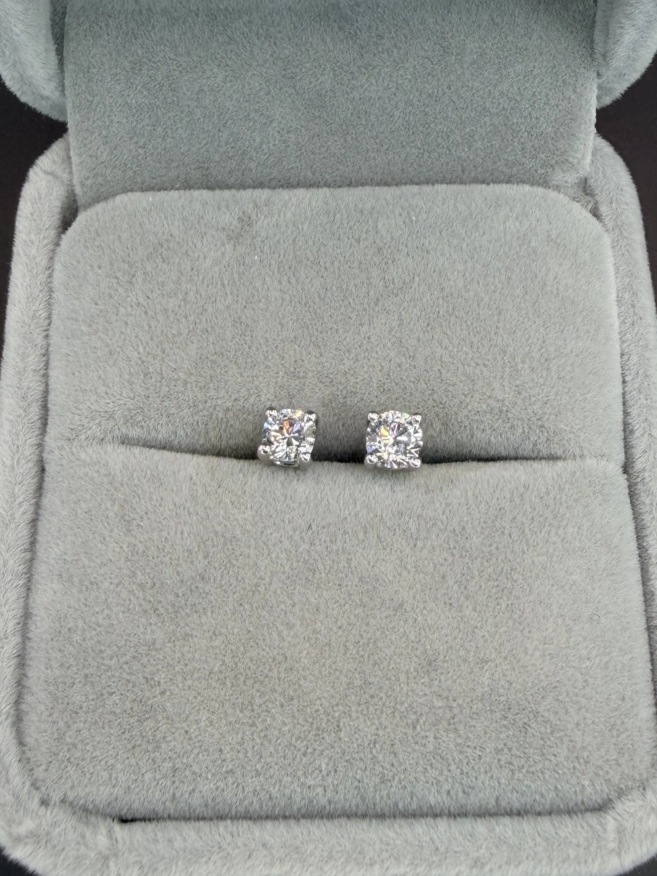 StRh Lab Stud Close.jpeg