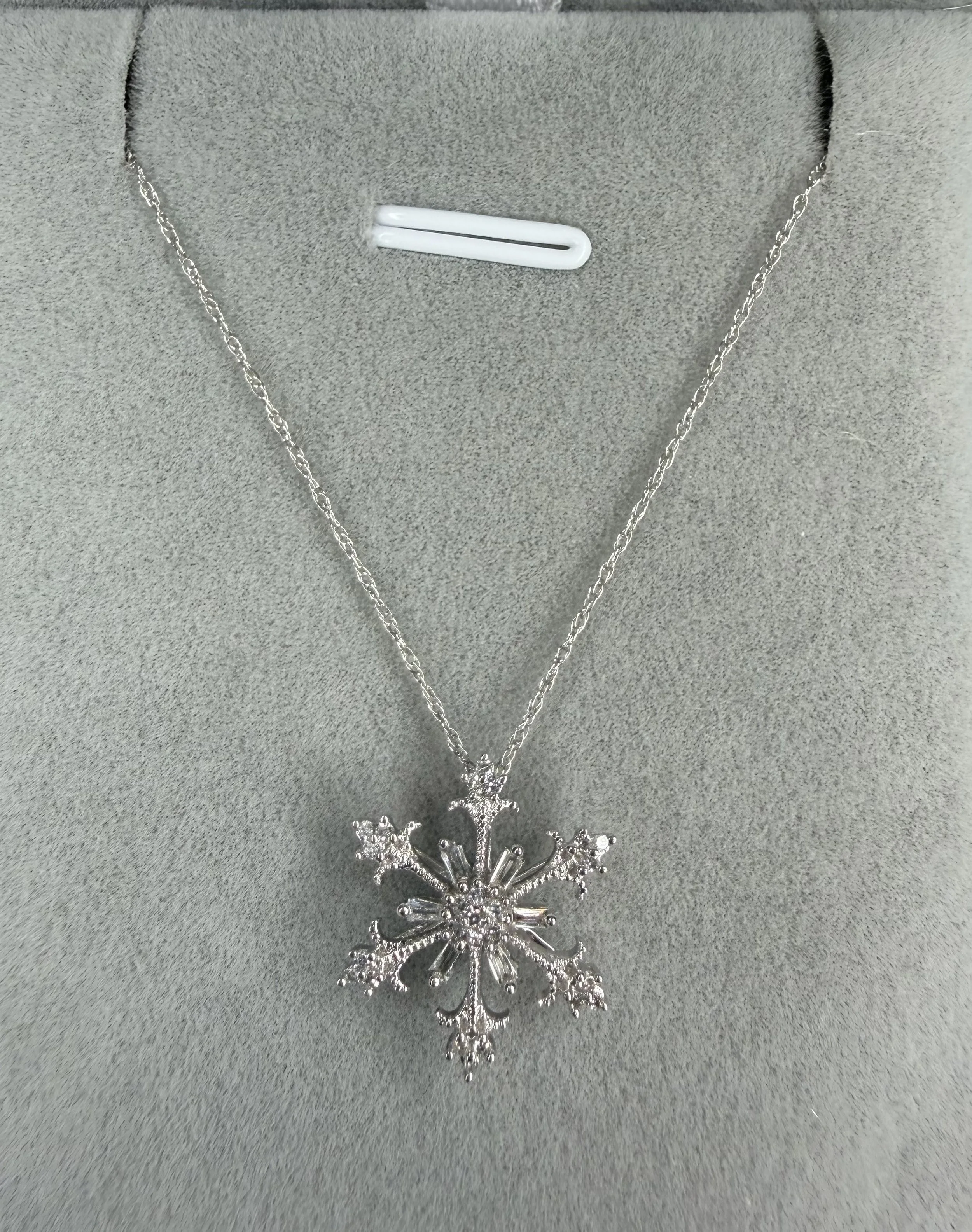 Snowflake Close.jpeg