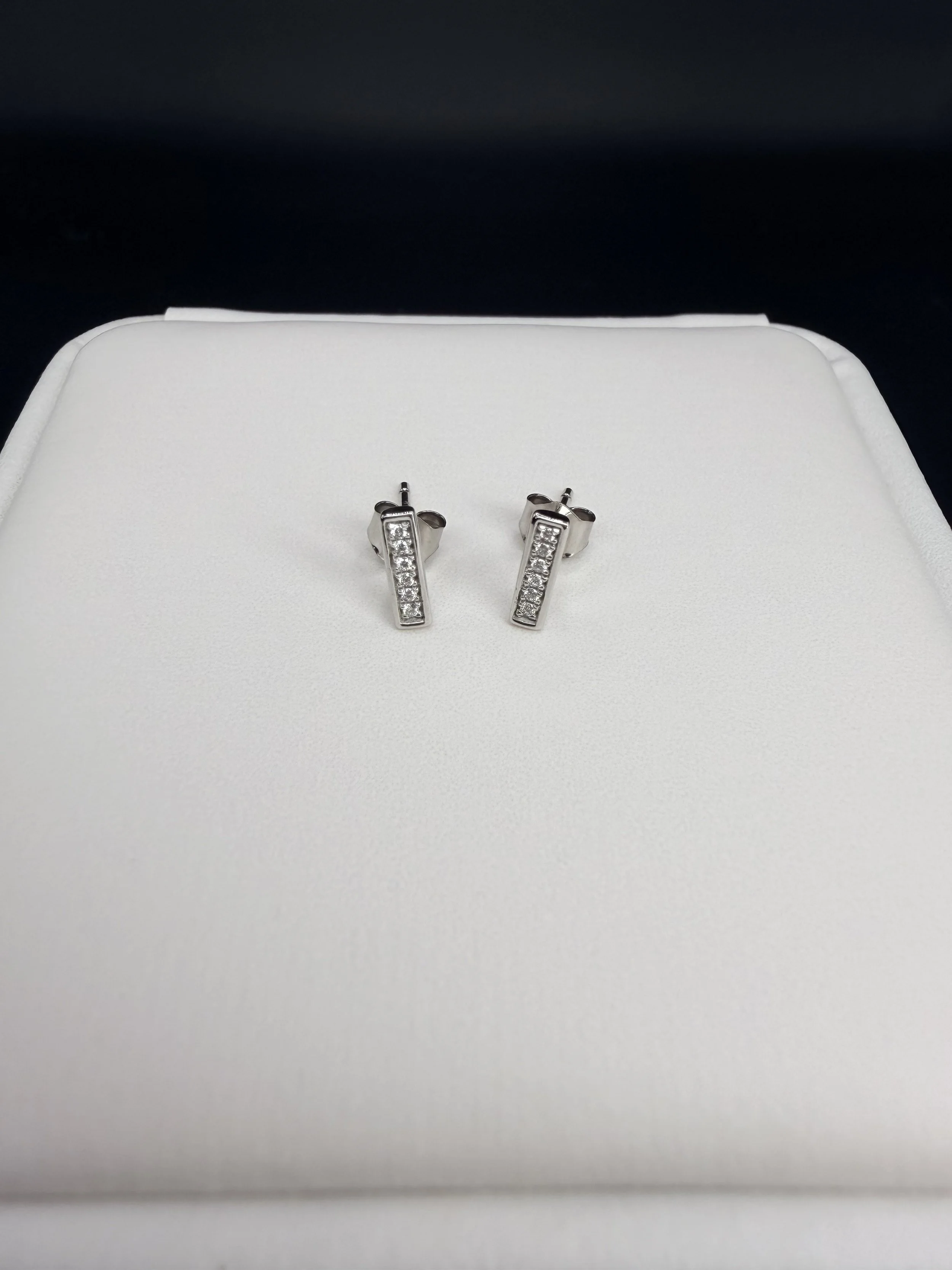 Bar Stud Zoom - need to crop.jpeg