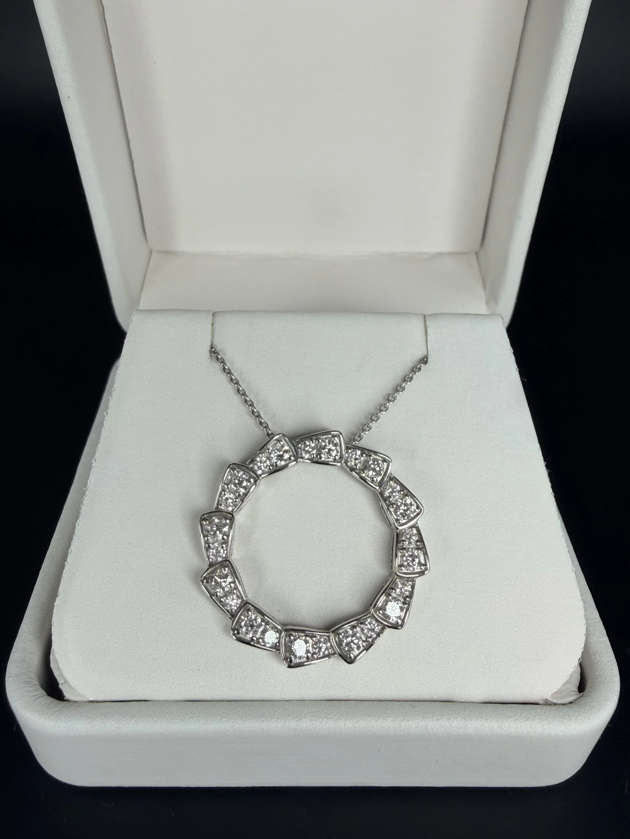 Round Ouroboros Whole.jpeg