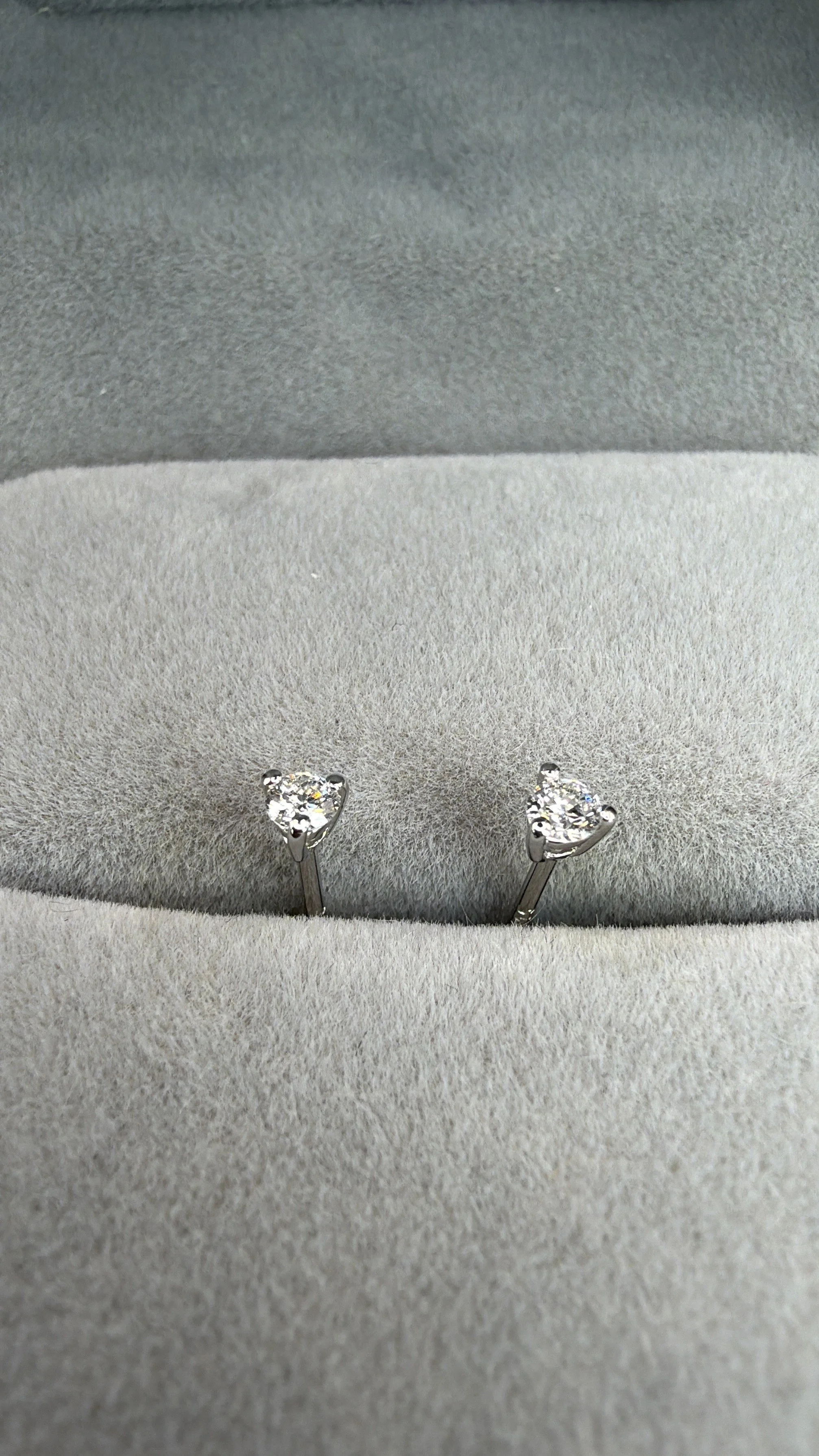 Sterling LG Stud Zoom.jpeg