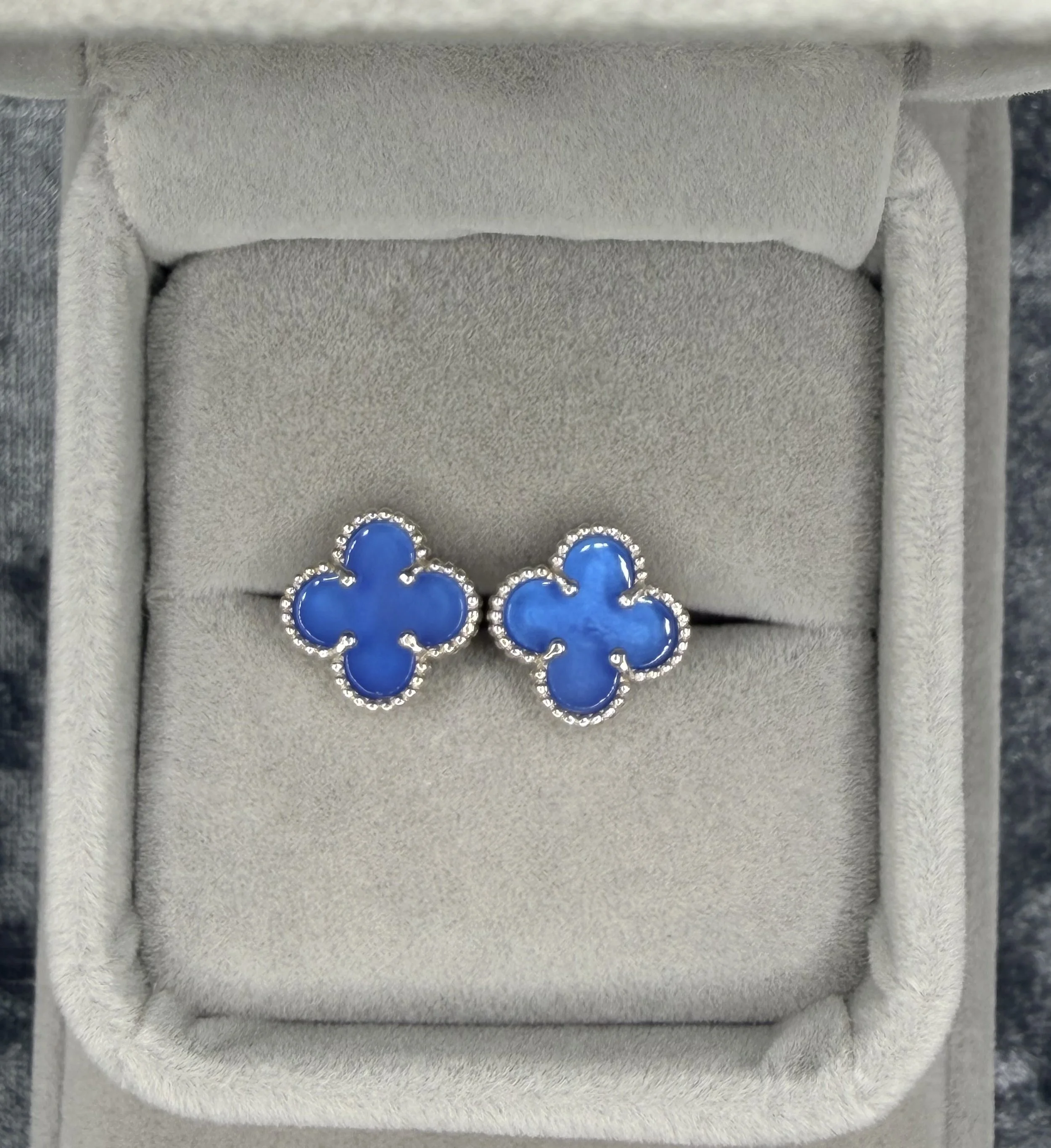 Blue Clove Close.jpeg