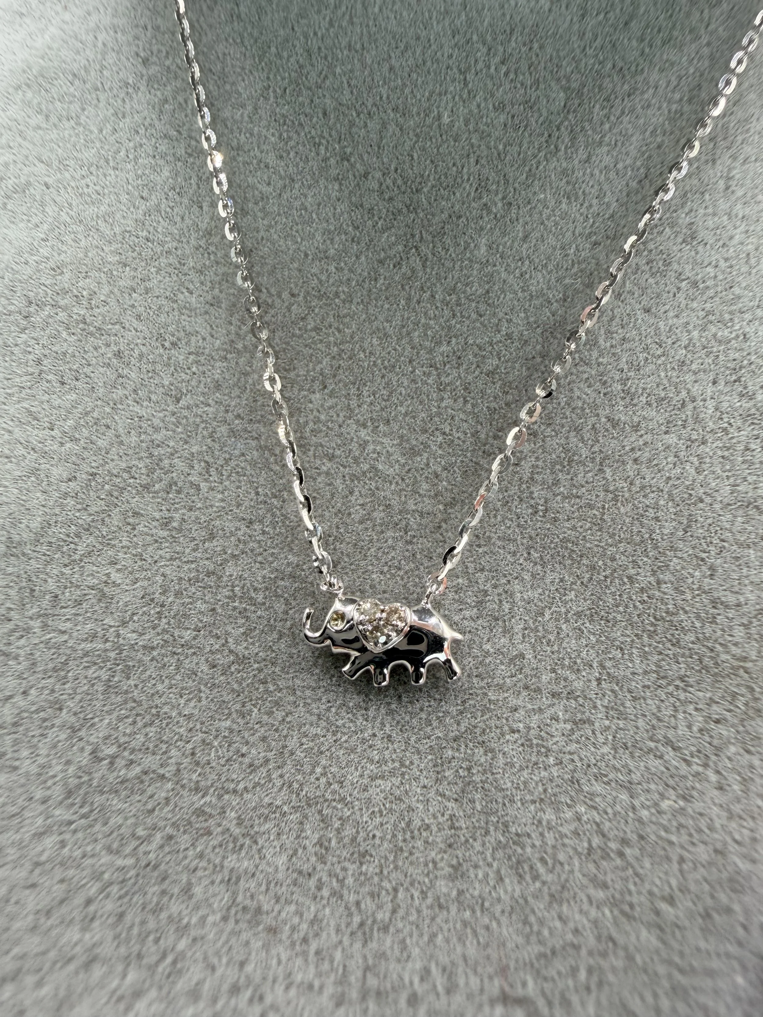 Elephant Close 1.jpeg