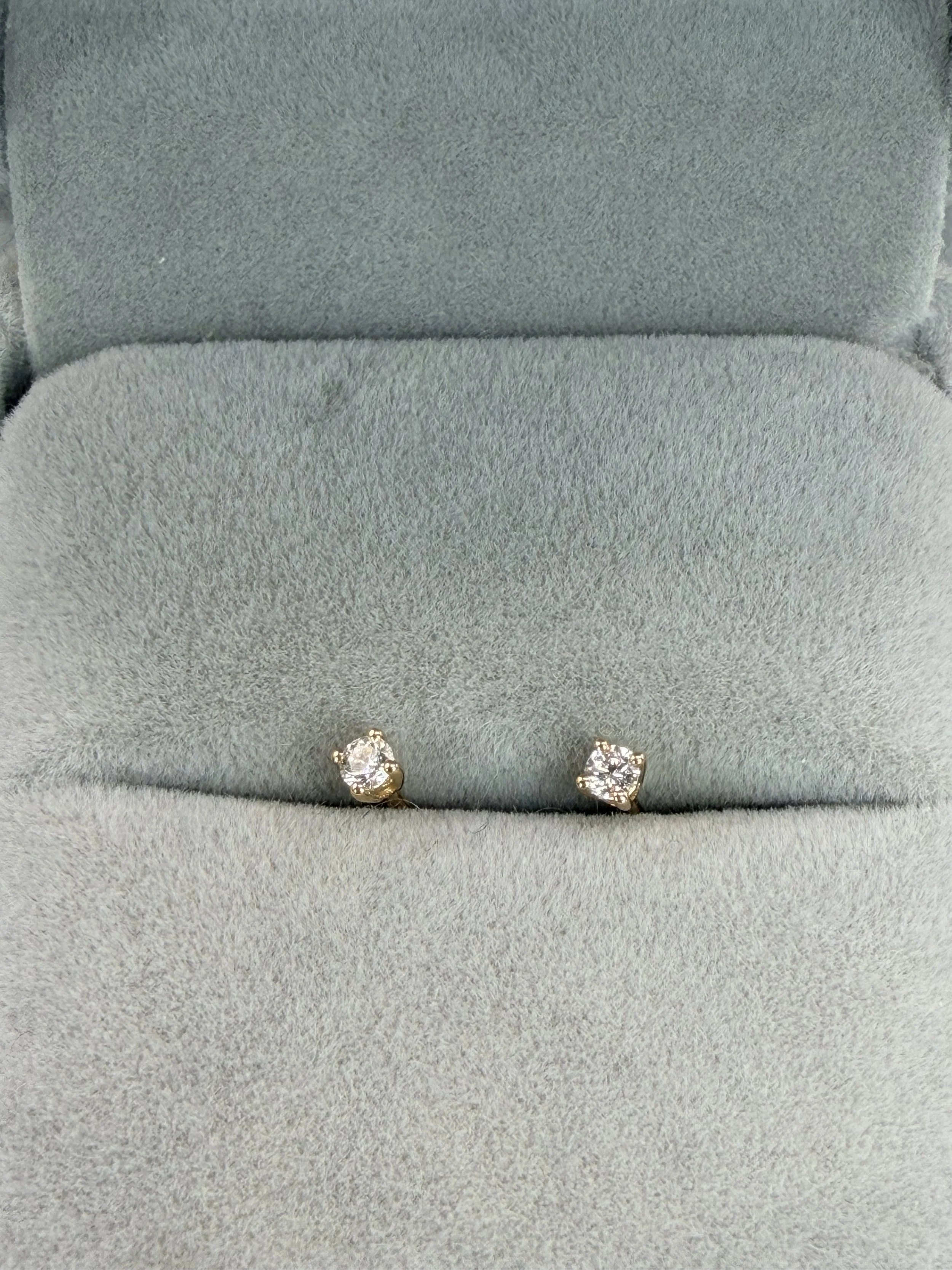 Indiv Stud CZoom.jpeg