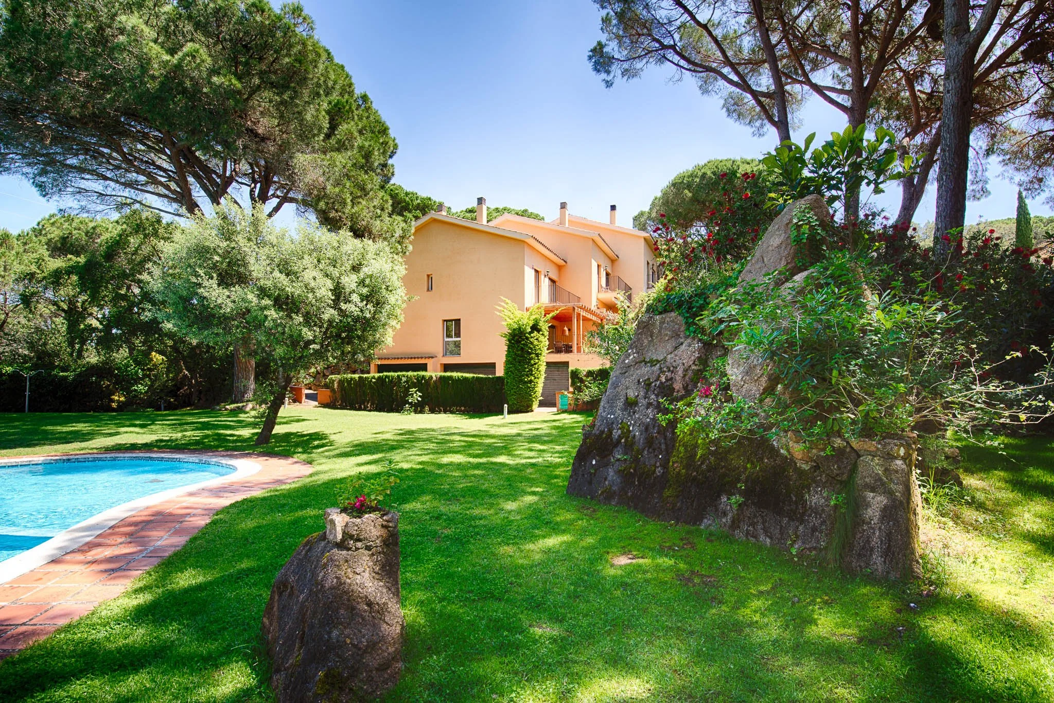 A backyard with a swimming pool, lush green grass, large trees, and a house in the background under a clear blue sky.