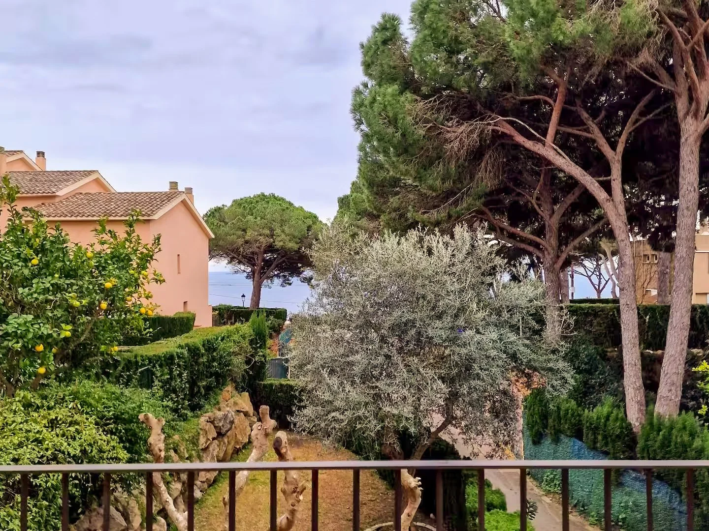 view of a residential area with houses, trees, and greenery, overlooking the ocean in the background