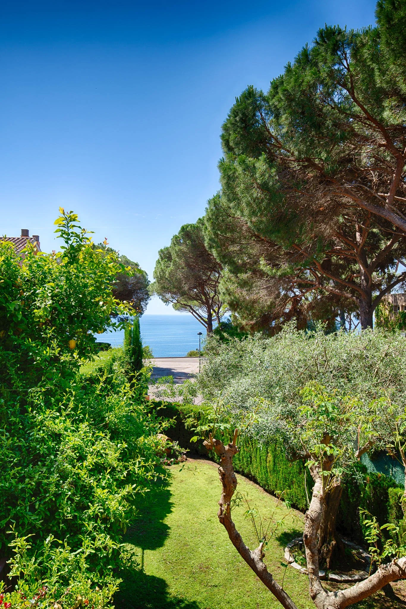 A lush garden with a grassy pathway, trees, and bushes, overlooking the ocean with a clear blue sky.