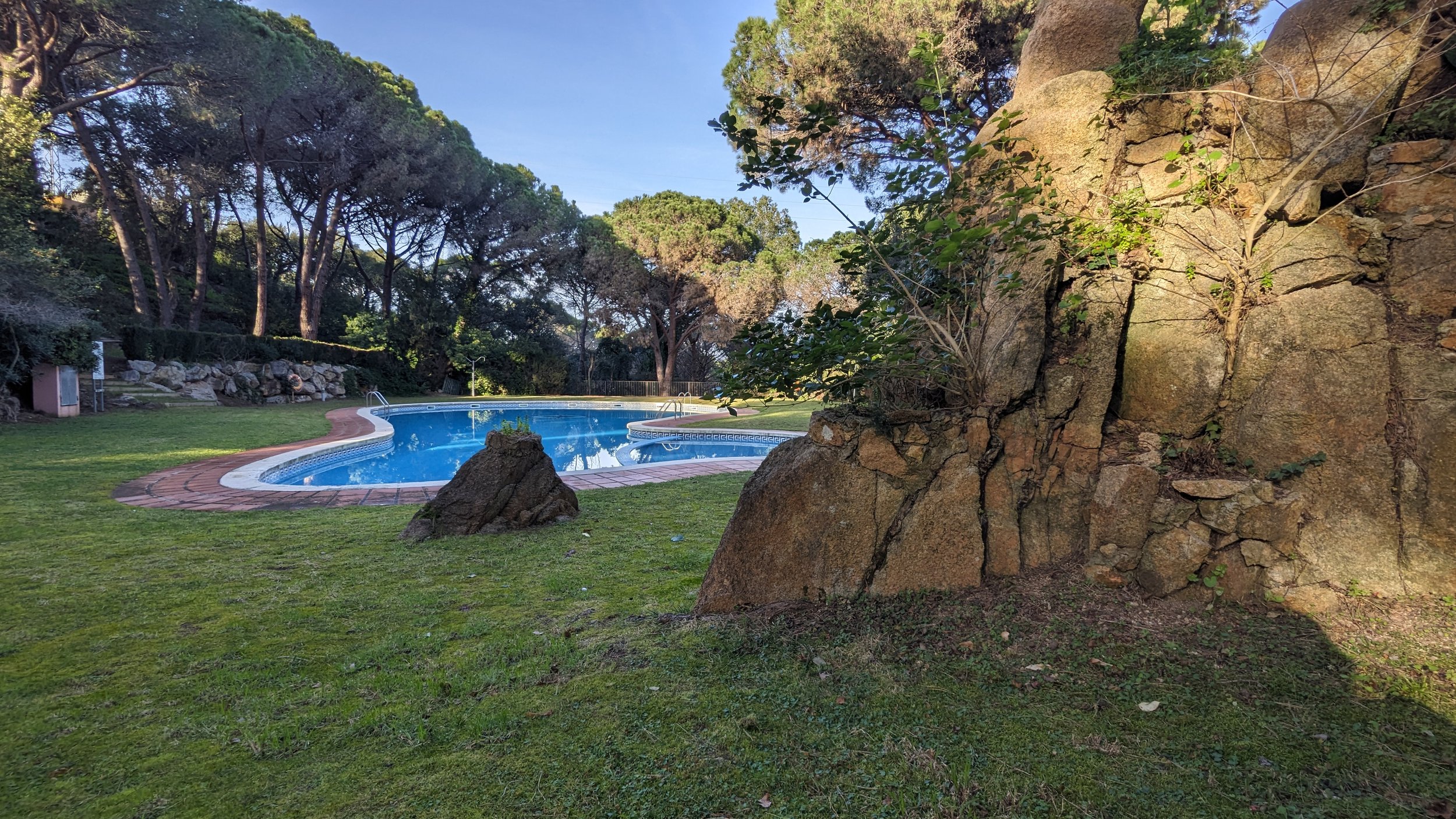 An outdoor swimming pool surrounded by a grassy area and trees, with rocks and green plants on the rock formation on the right.