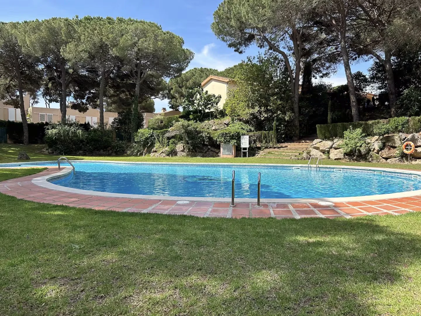 Empty outdoor swimming pool with a stone and tile border, surrounded by green grass and tall trees under a clear blue sky.