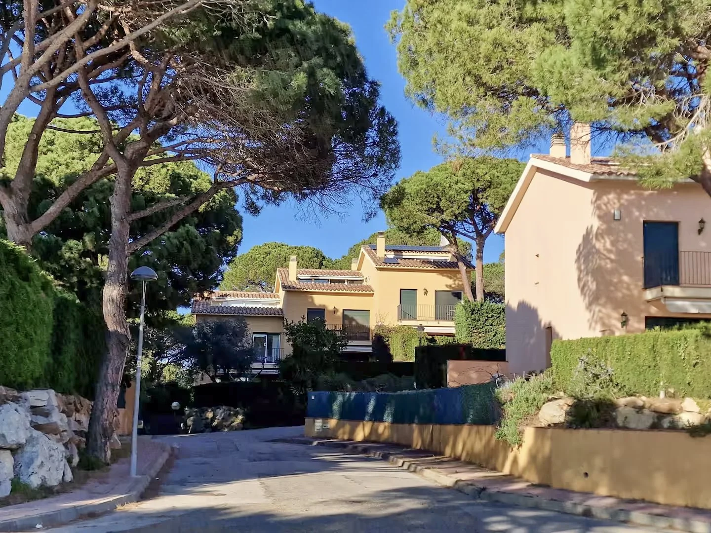 A quiet residential street lined with tall trees, green shrubs, and modern beige houses with tiled roofs in a sunny, clear sky.
