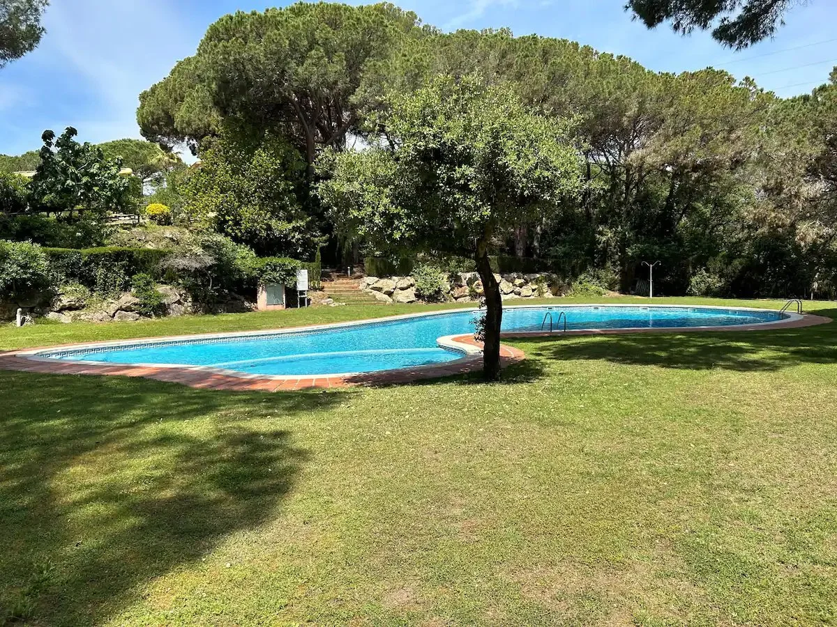 A backyard with a kidney-shaped swimming pool, surrounded by green grass, trees, and bushes, with a clear blue sky overhead.