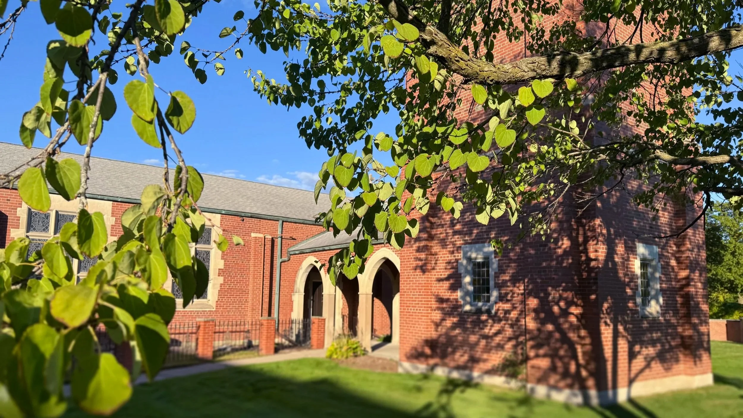 A view of a brick building with arched windows and green lawn, seen through the branches and leaves of a tree with a blue sky in the background.