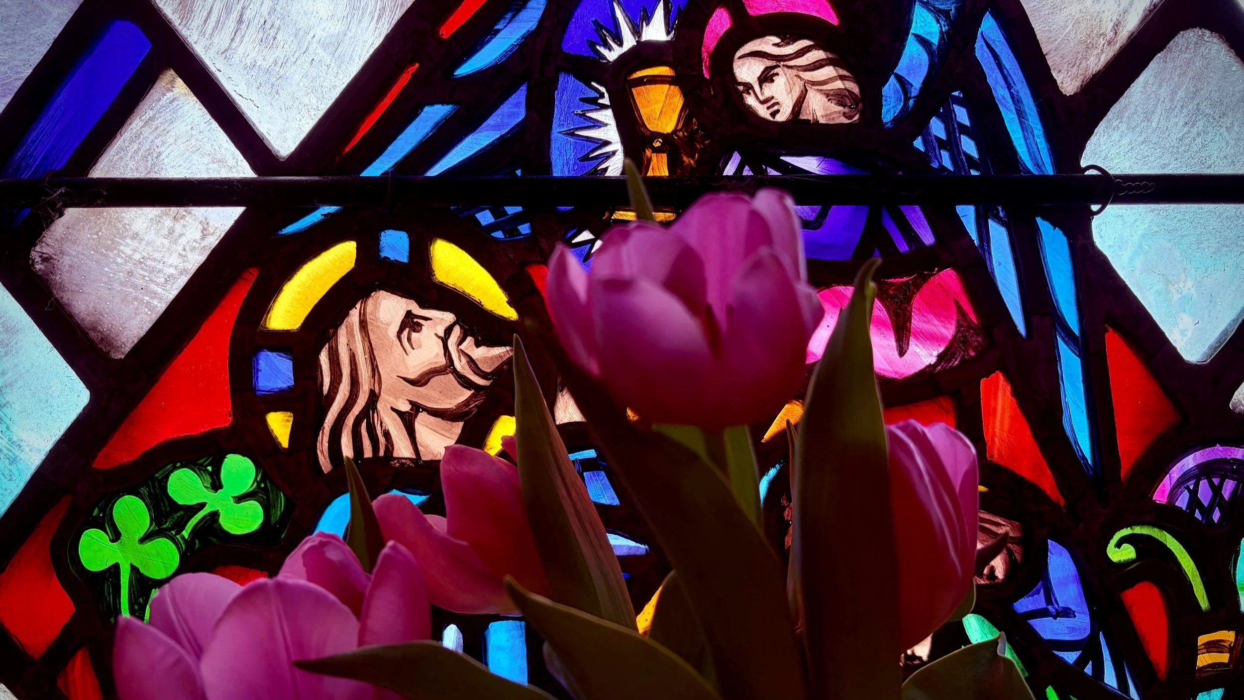 Colorful stained glass window depicting angels, roses, shamrocks, and abstract designs, with pink tulips in foreground.