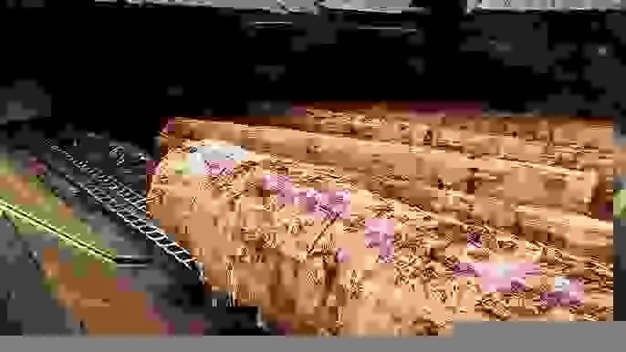 BigDecks Austin Texas deck build in progress lumber and materials