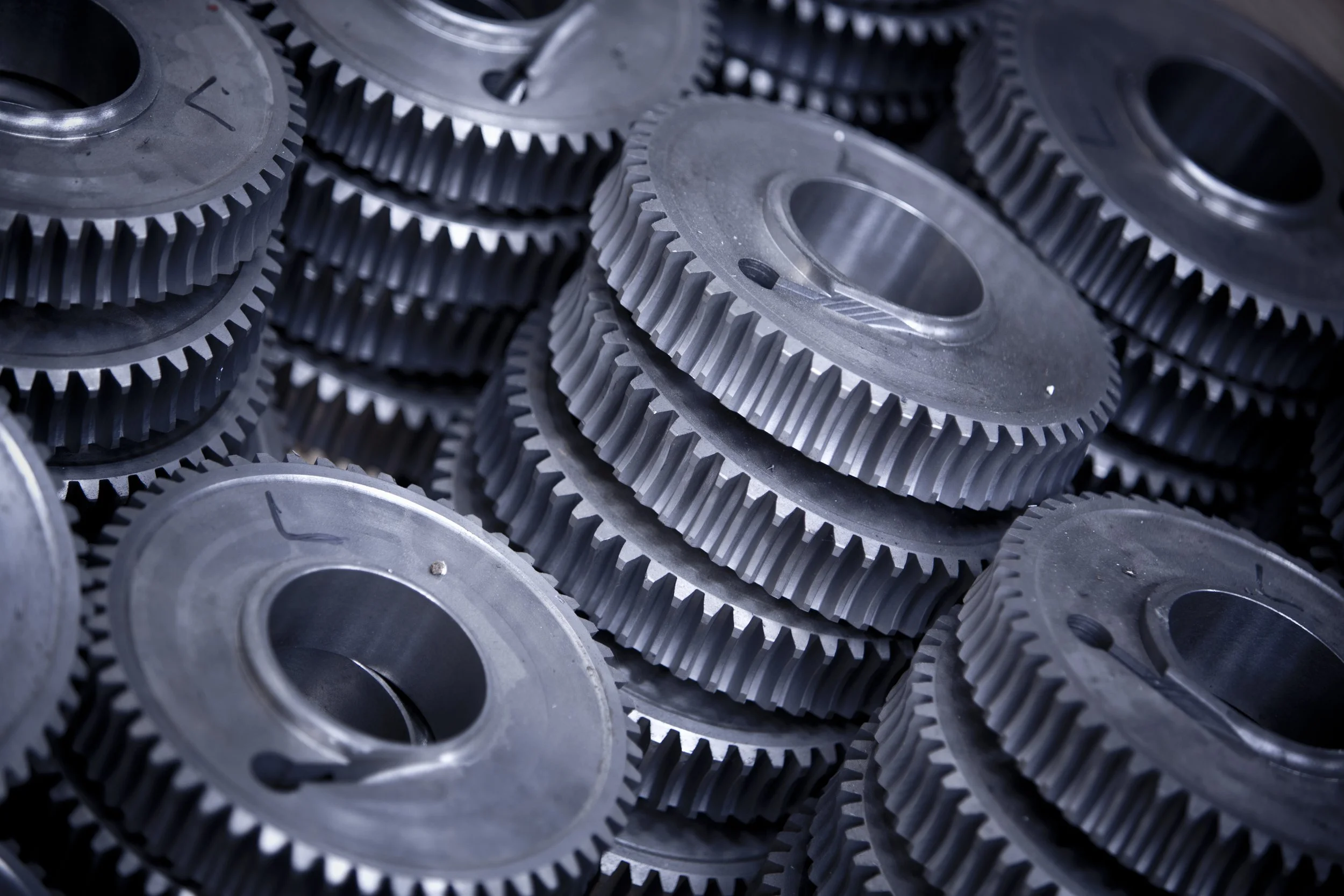 PA1A1878 Birch 250615 www.johnzammit.co.uk absolute photography ltd.jpg