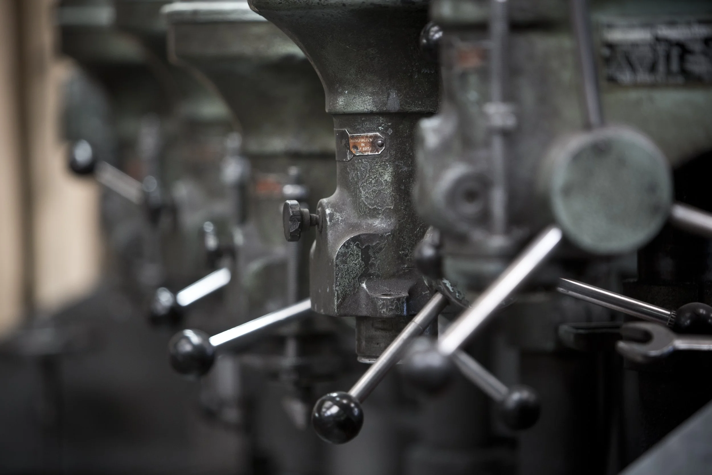 PA1A1965 Birch 250615 www.johnzammit.co.uk absolute photography ltd.jpg