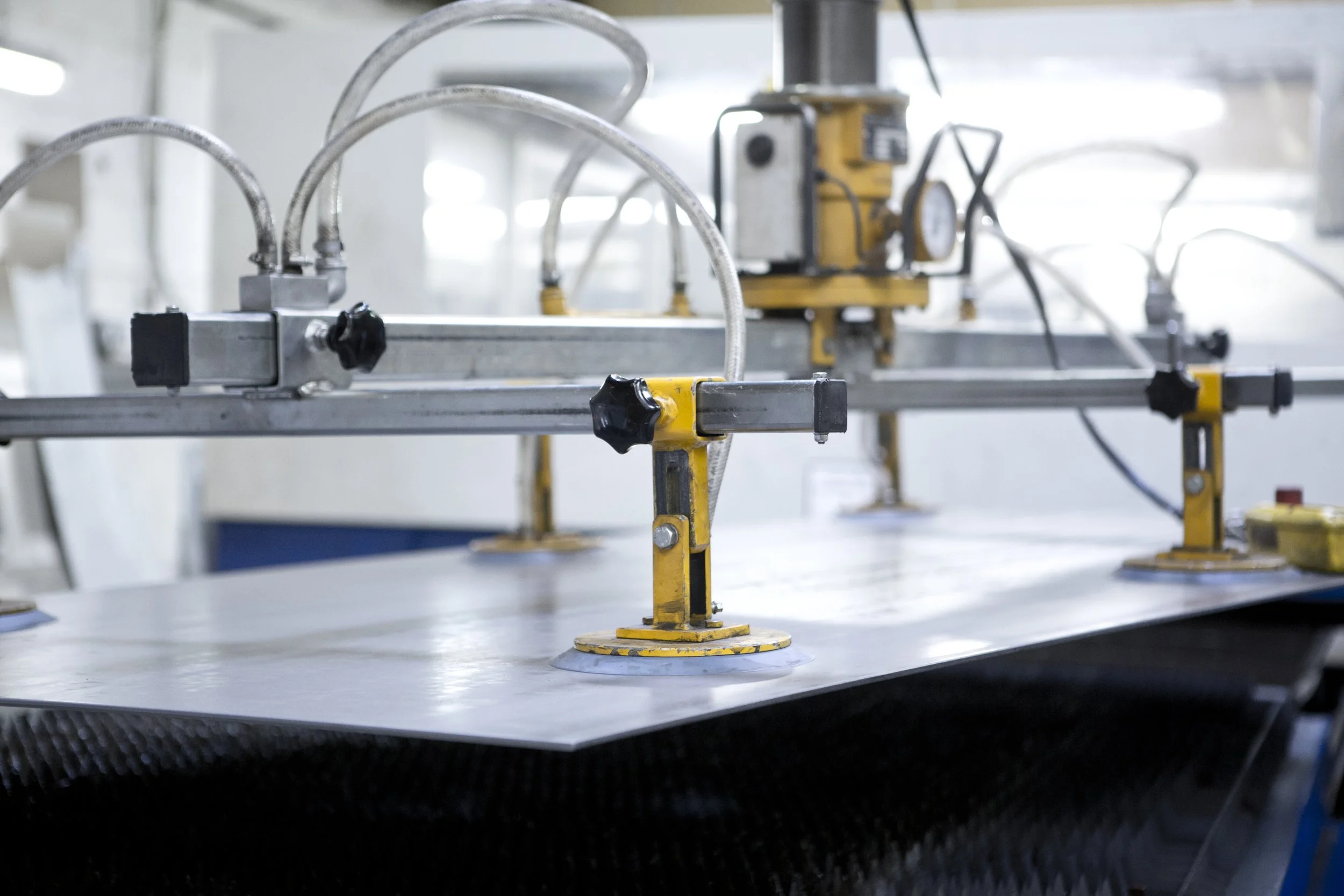 PA1A4319 Birch 030715 www.johnzammit.co.uk absolute photography ltd.jpg