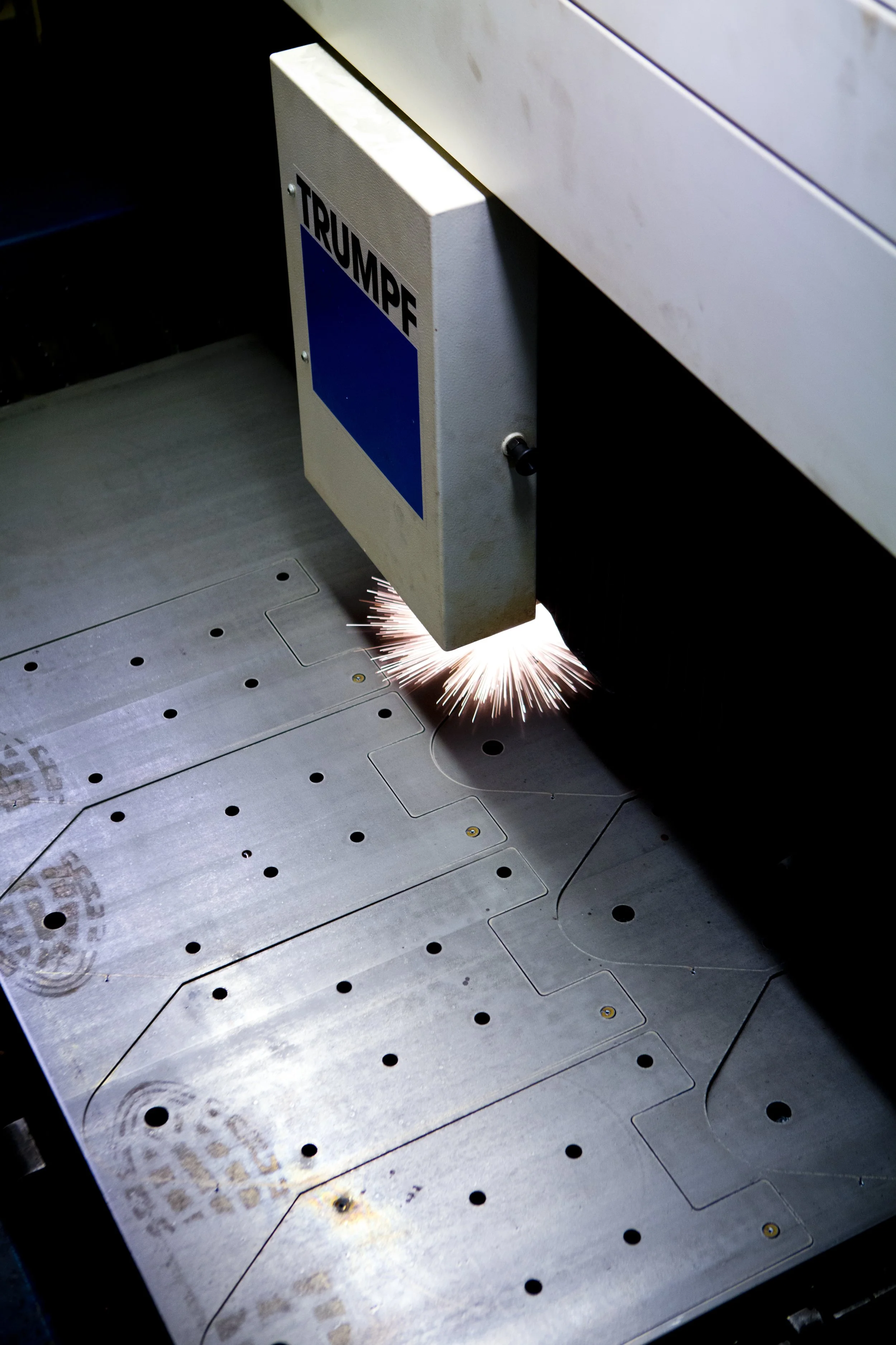 PA1A4421 Birch 030715 www.johnzammit.co.uk absolute photography ltd.jpg